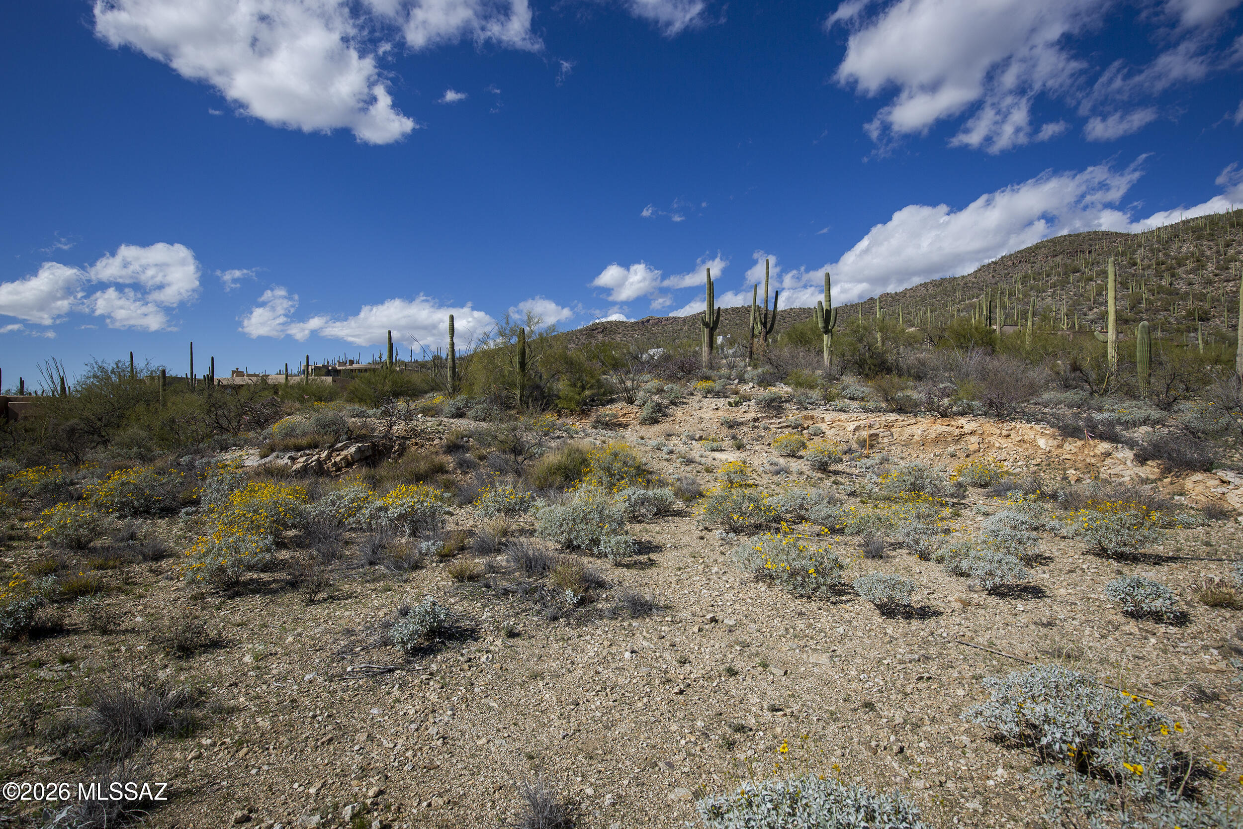 Sabino Estates (1-45) - Land