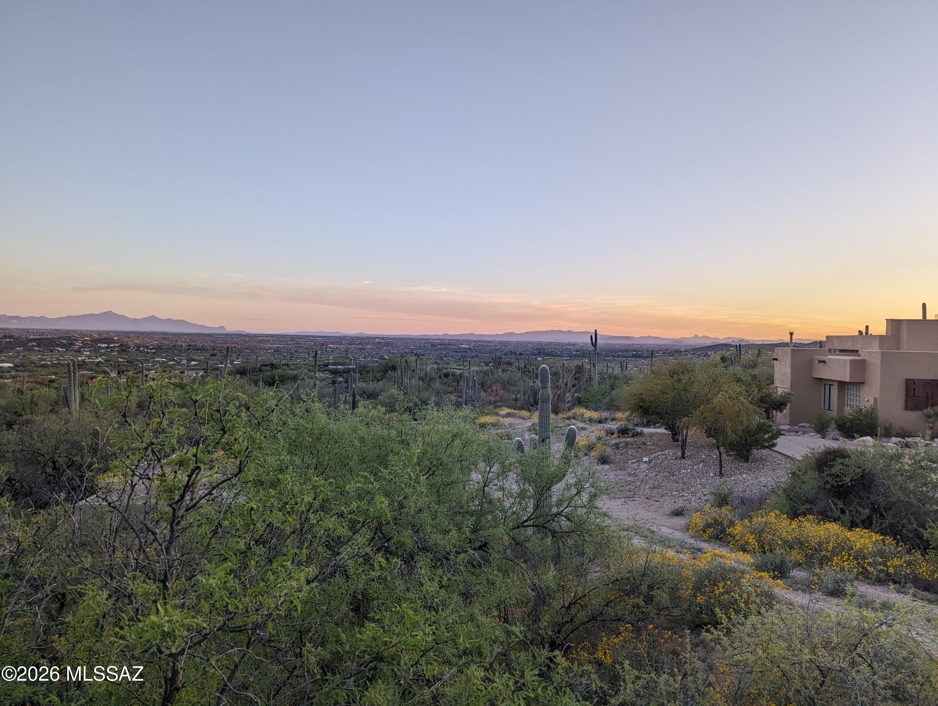 Sabino Estates (1-45) - Land