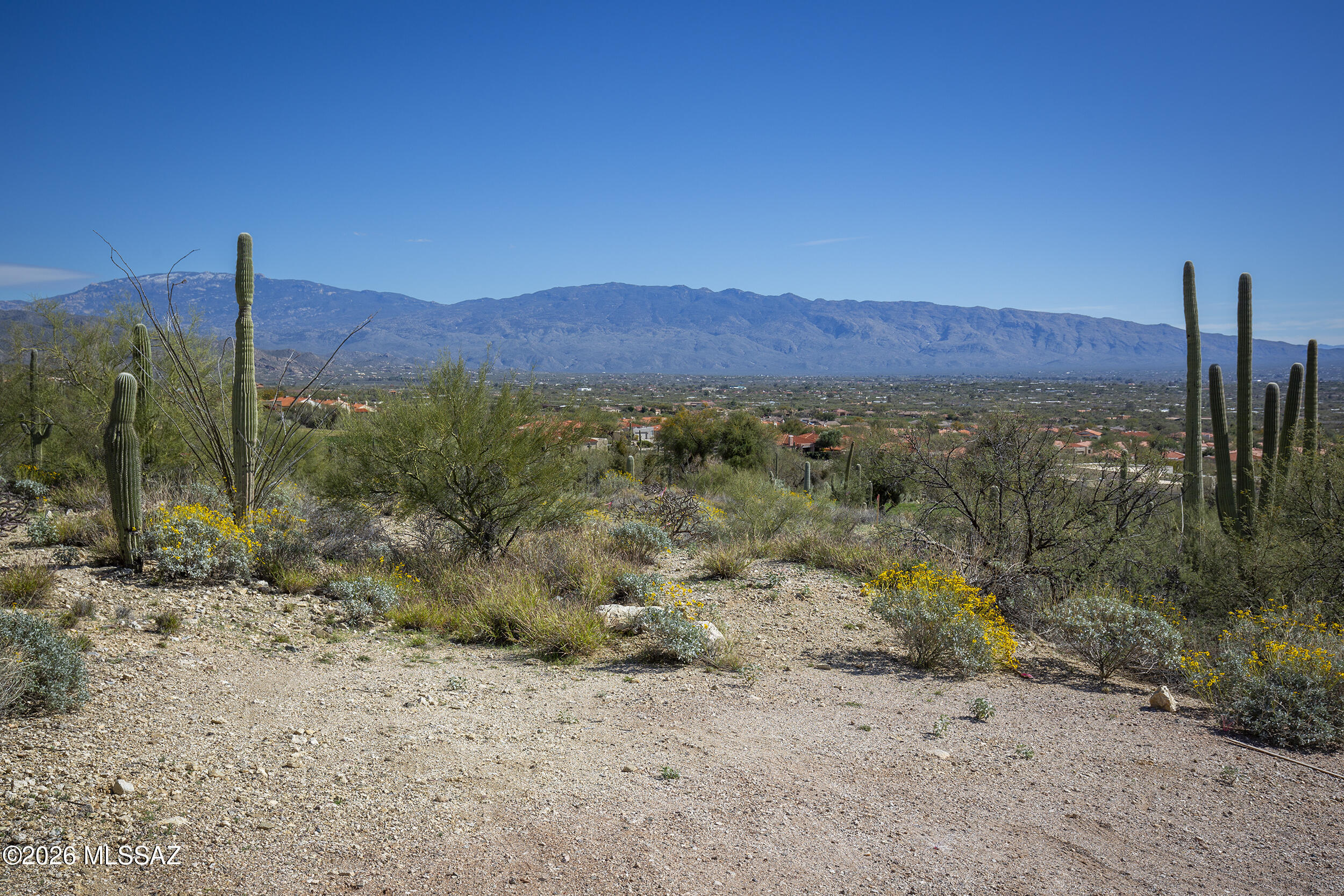Sabino Estates (1-45) - Land