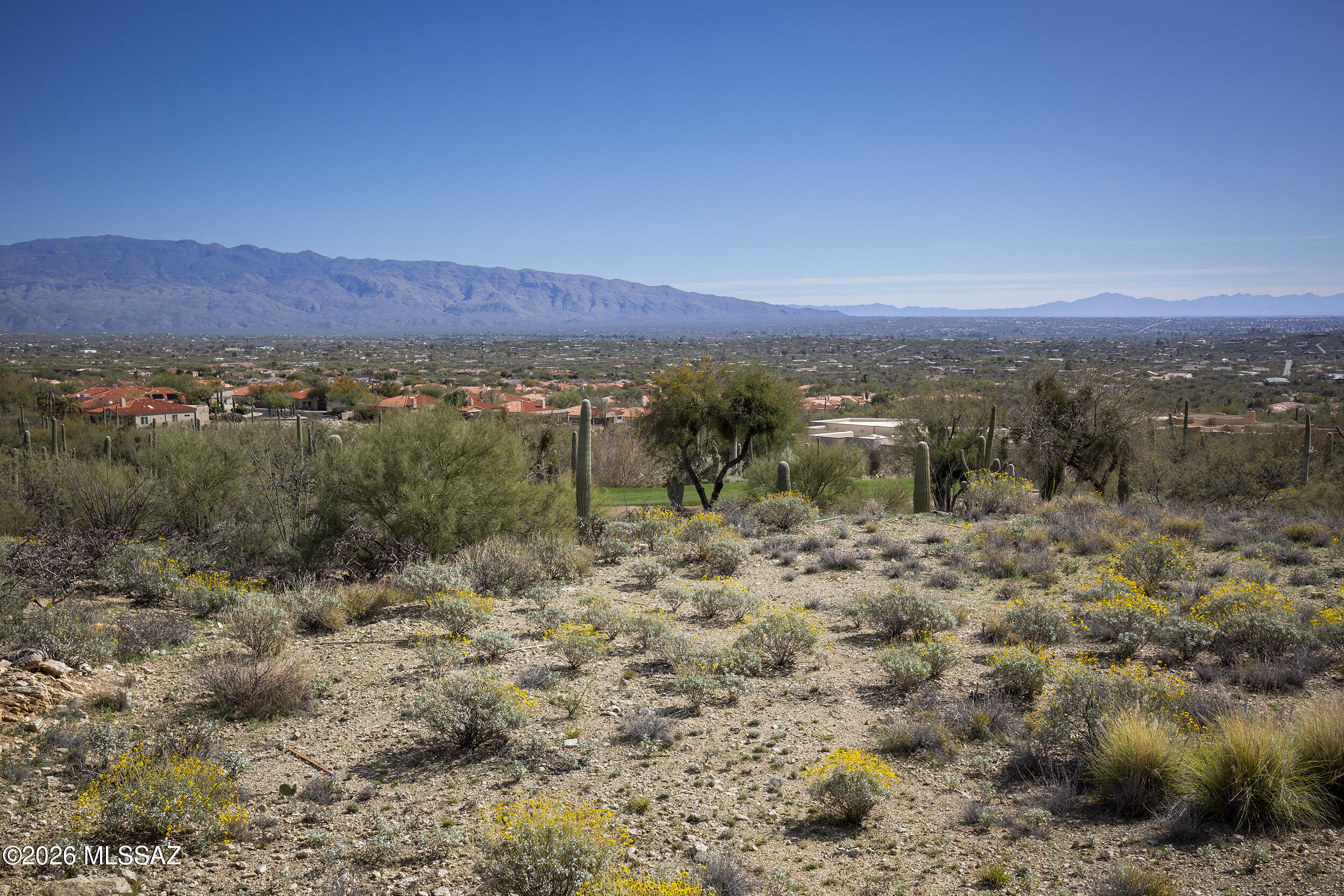 Sabino Estates (1-45) - Land