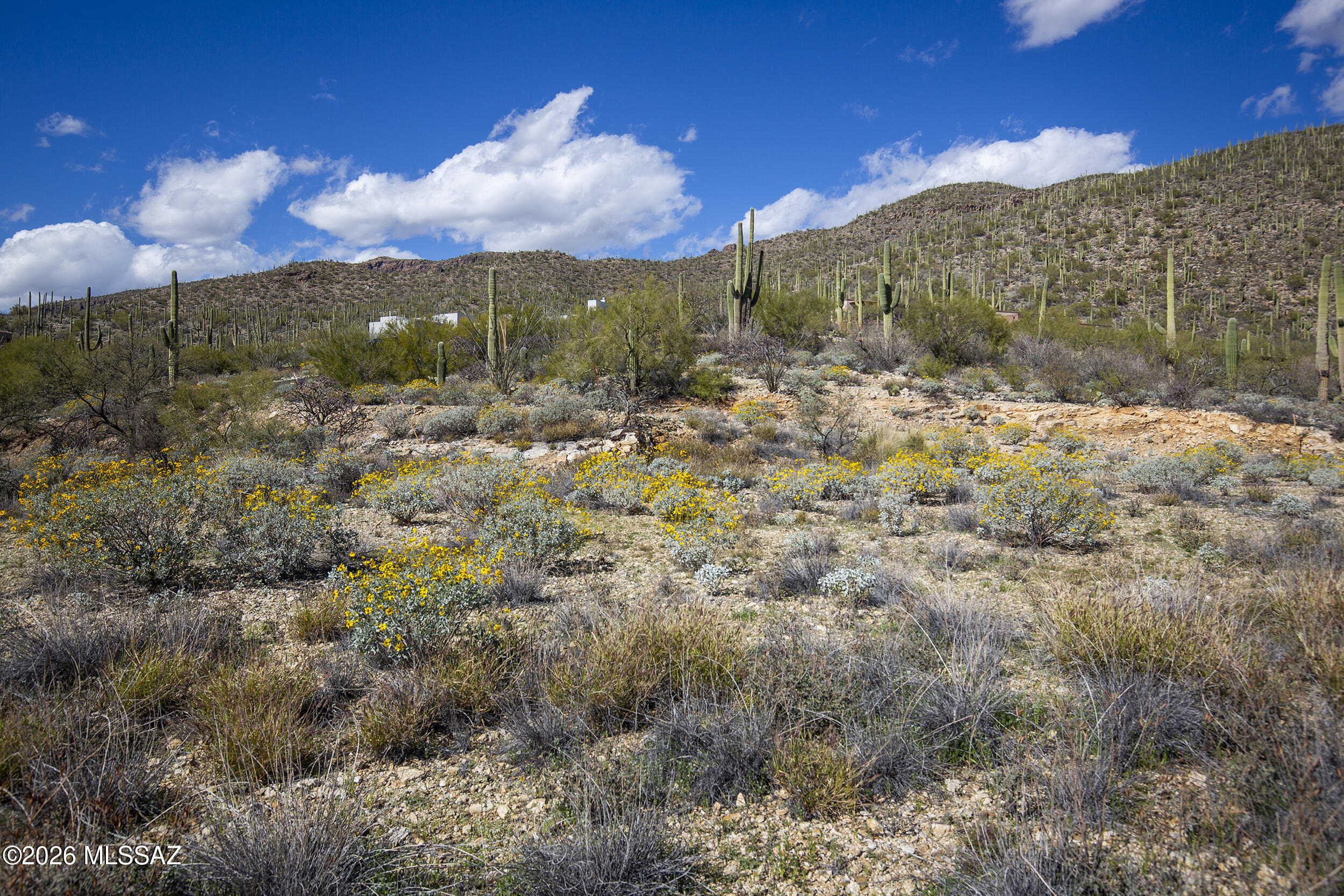 9930 E Sabino Estates Drive 25