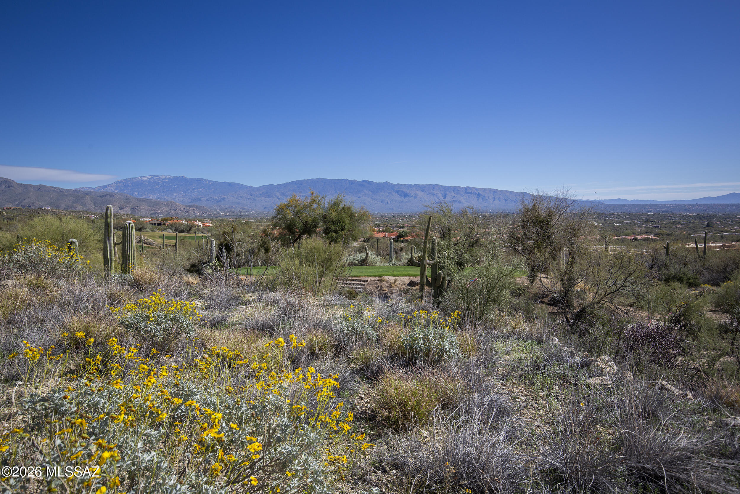 9930 E Sabino Estates Drive 25