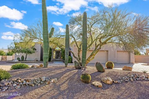 1675 W Silver Berry Place Oro Valley AZ 85737
