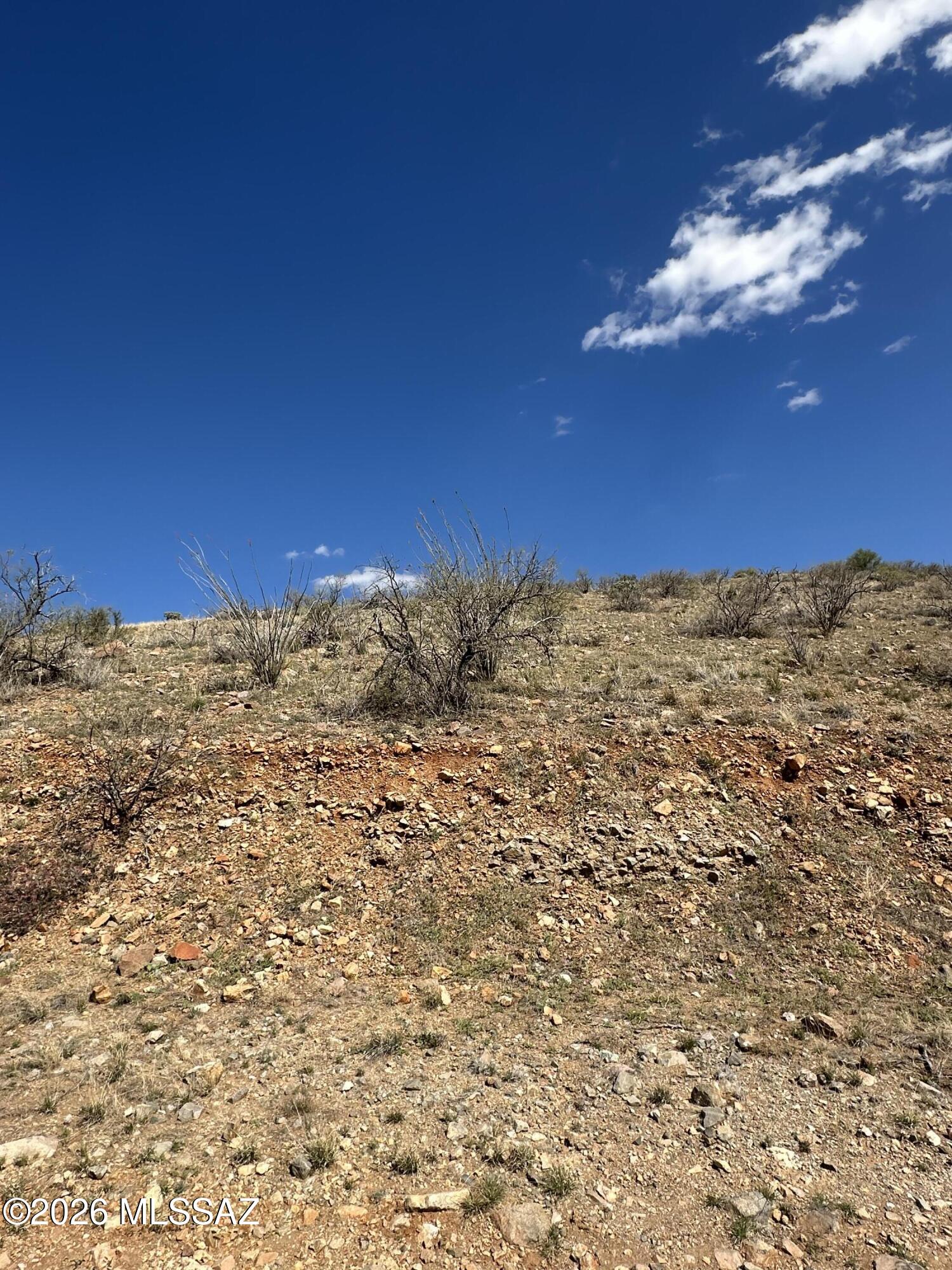 Rio Rico Ranchettes 4 - Land
