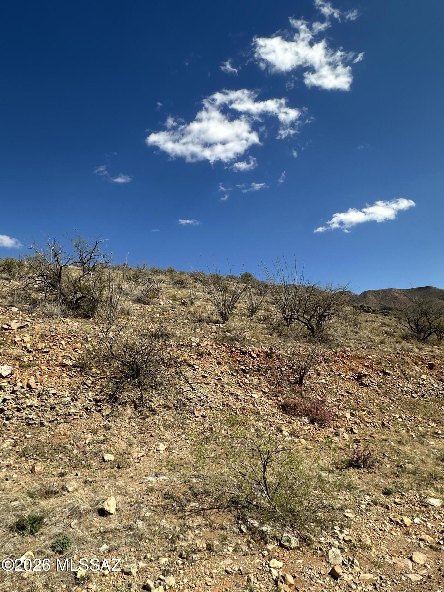Rio Rico Ranchettes 4 - Land