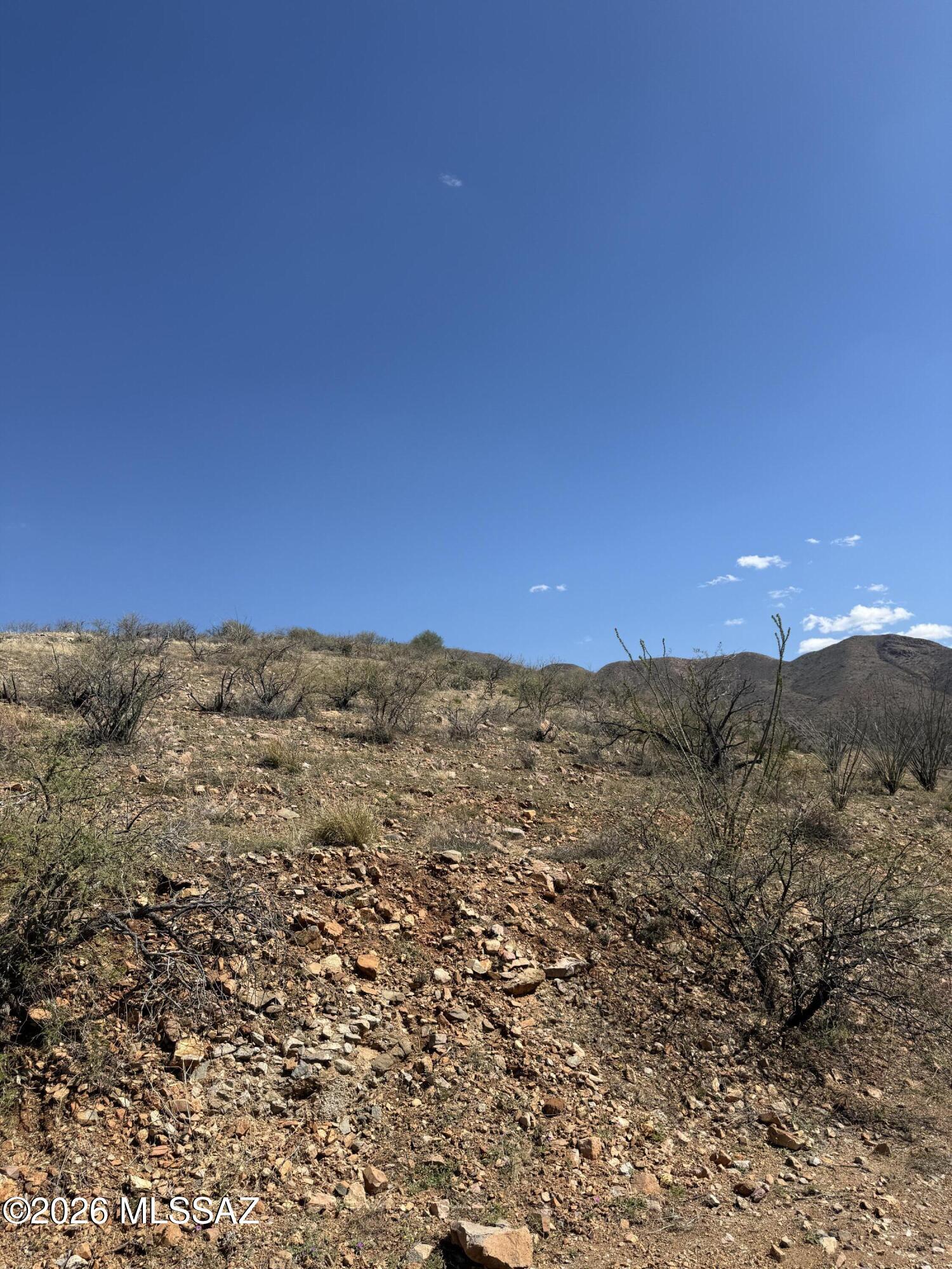 Rio Rico Ranchettes 4 - Land