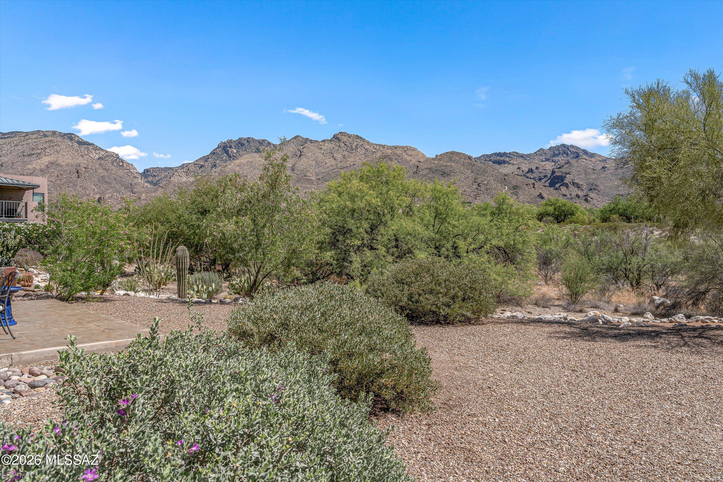 Greens at Ventana Canyon - Residential