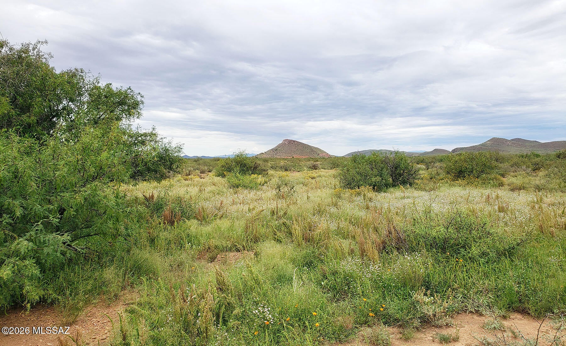 5.23 AC E Rucker Canyon Road 386