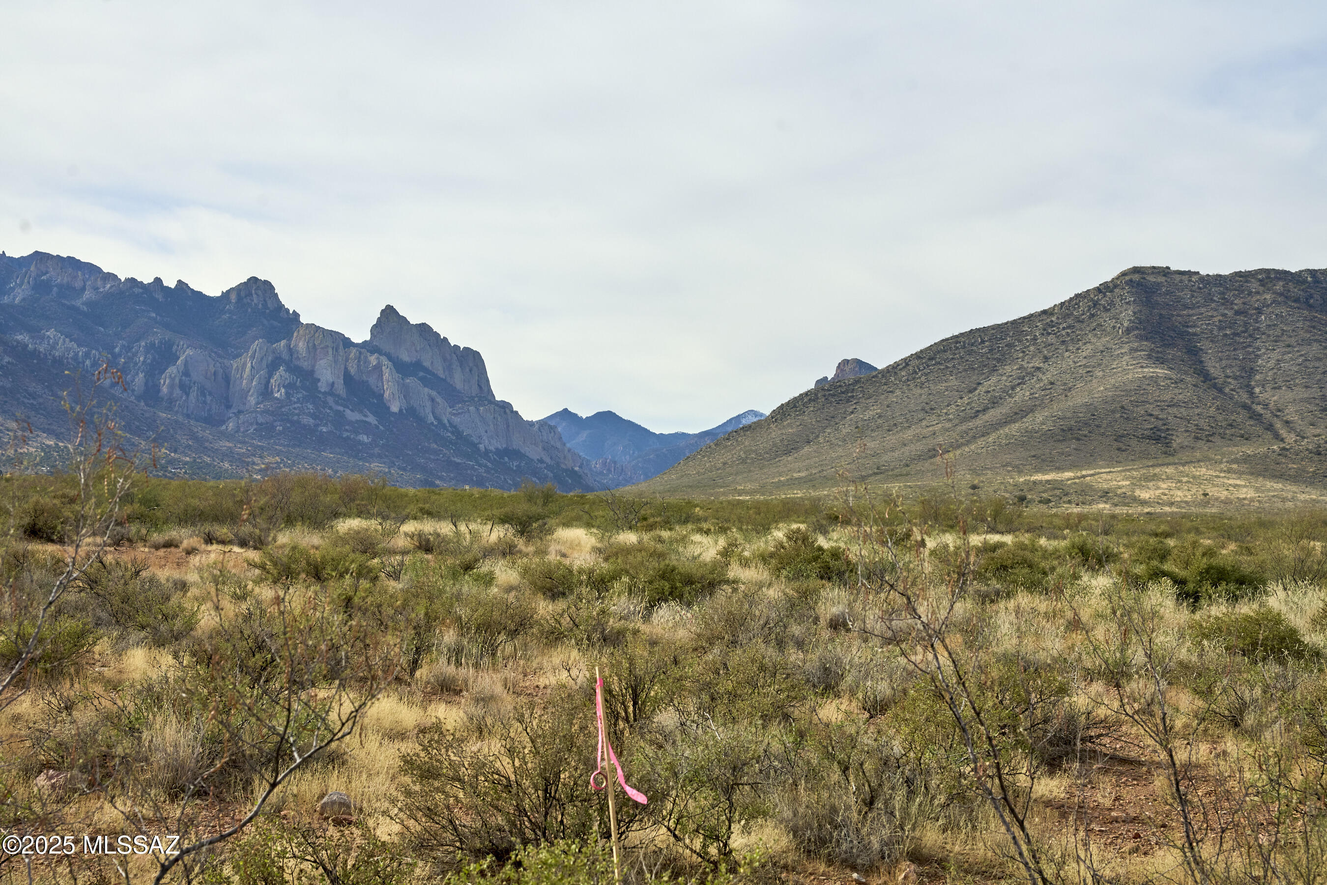 Out Of Pima County - Land