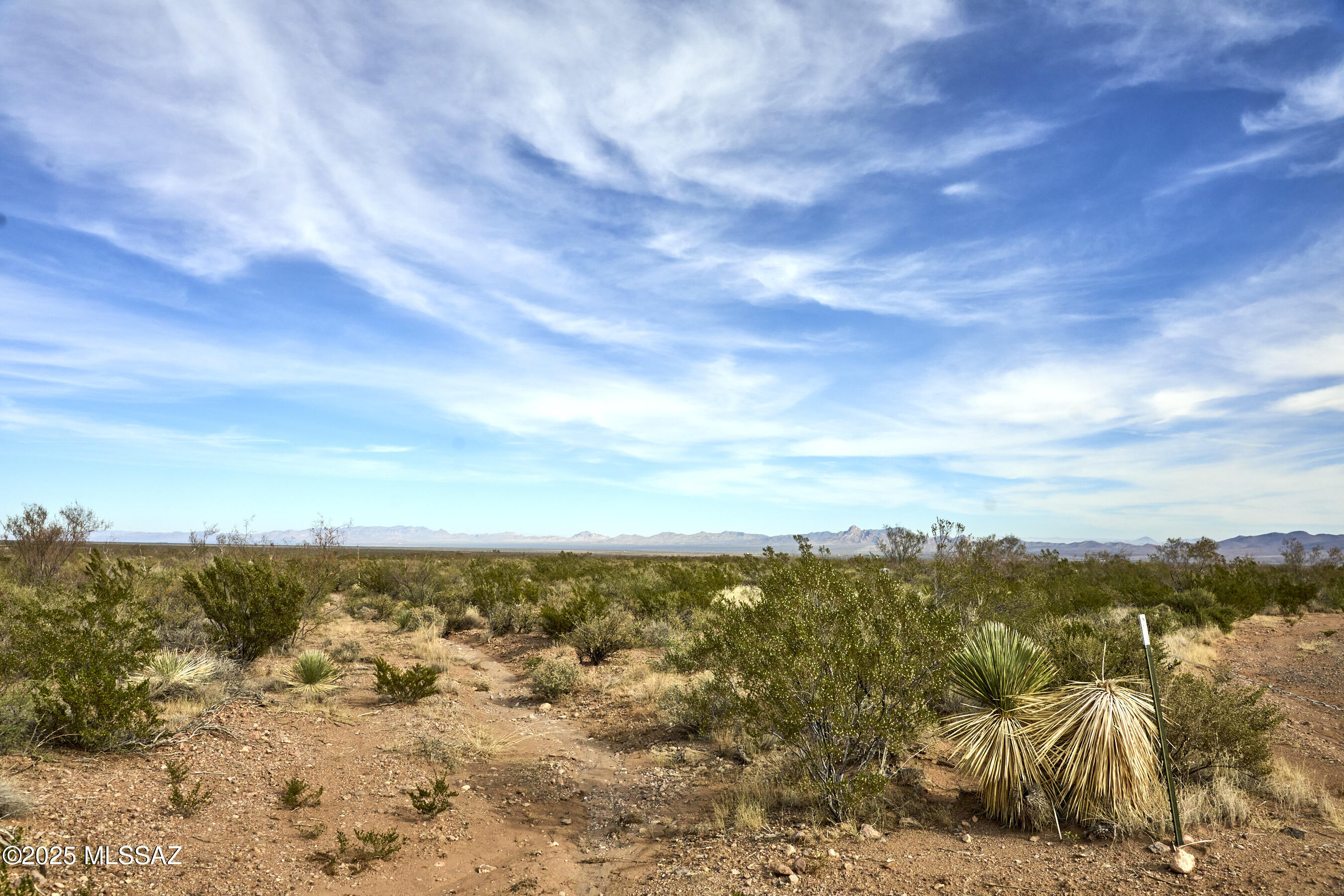 Out Of Pima County - Land