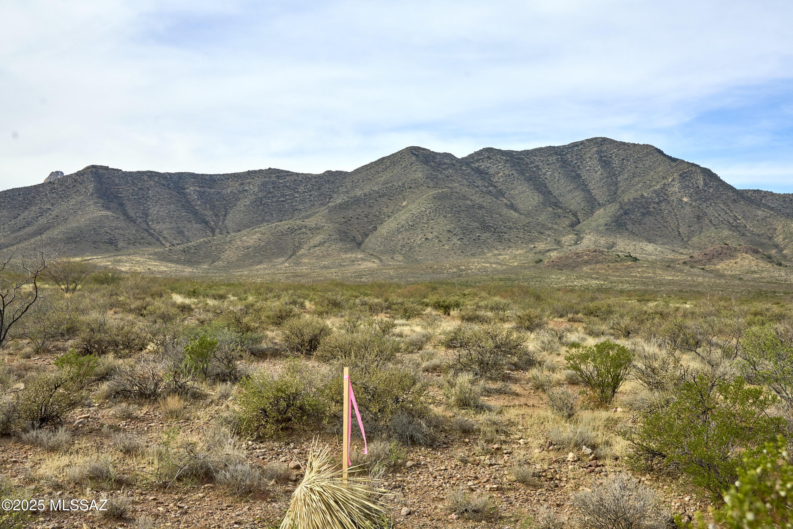 TBD W Foothills Road C