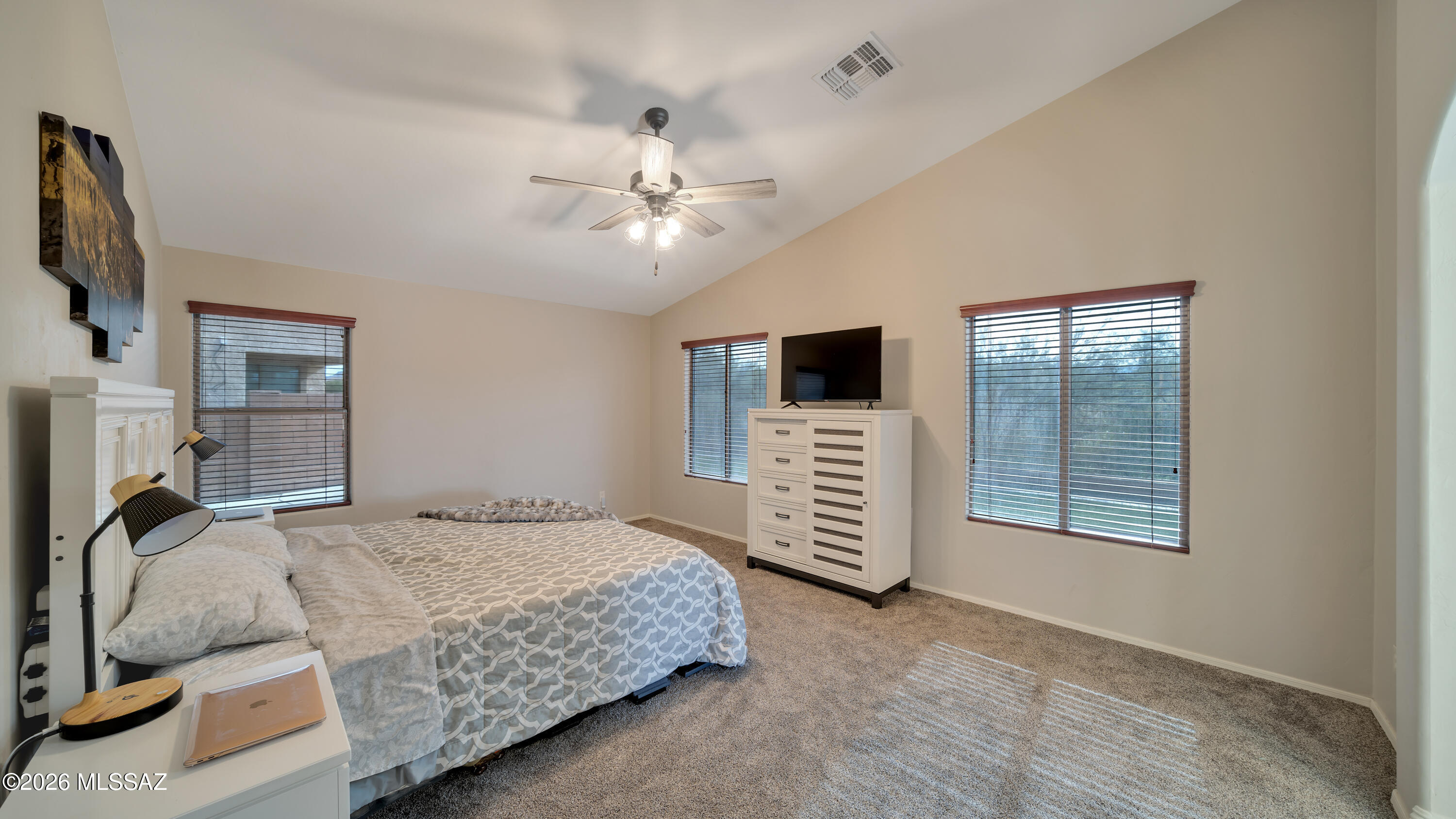 17180 S Scarlet Cliff Place