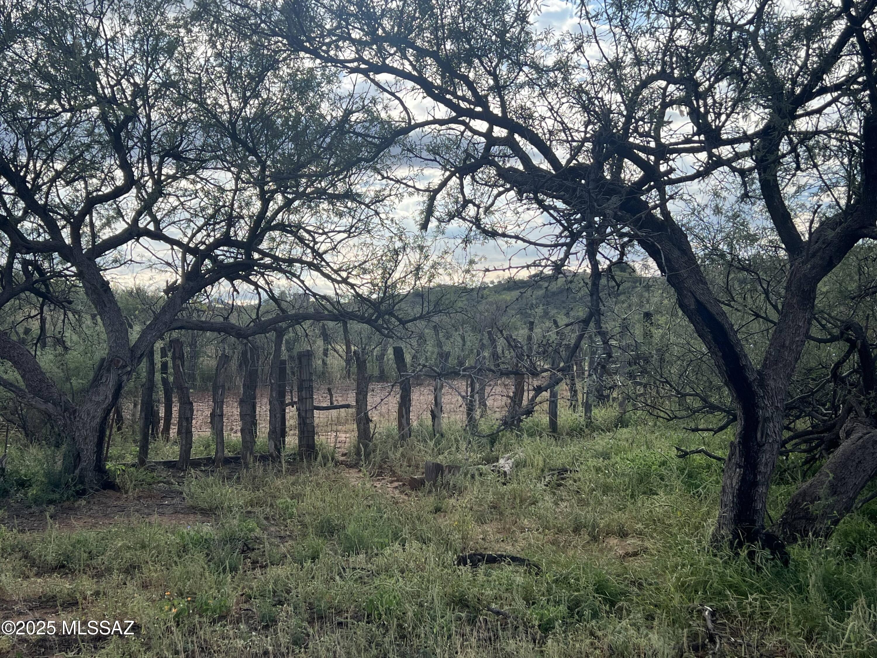 Lake Patagonia Ranch - Land