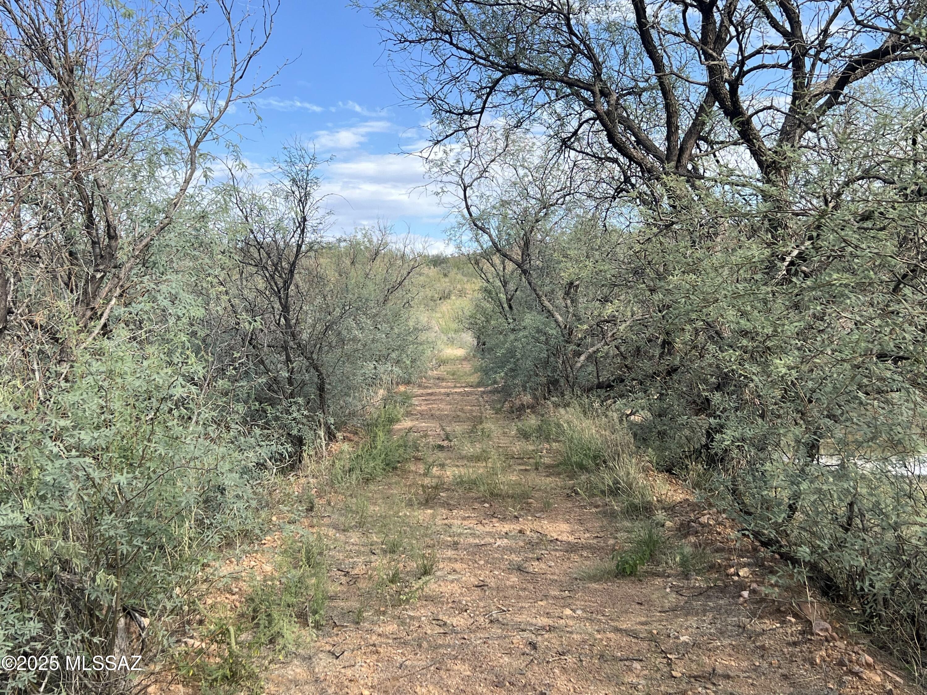 Lake Patagonia Ranch - Land