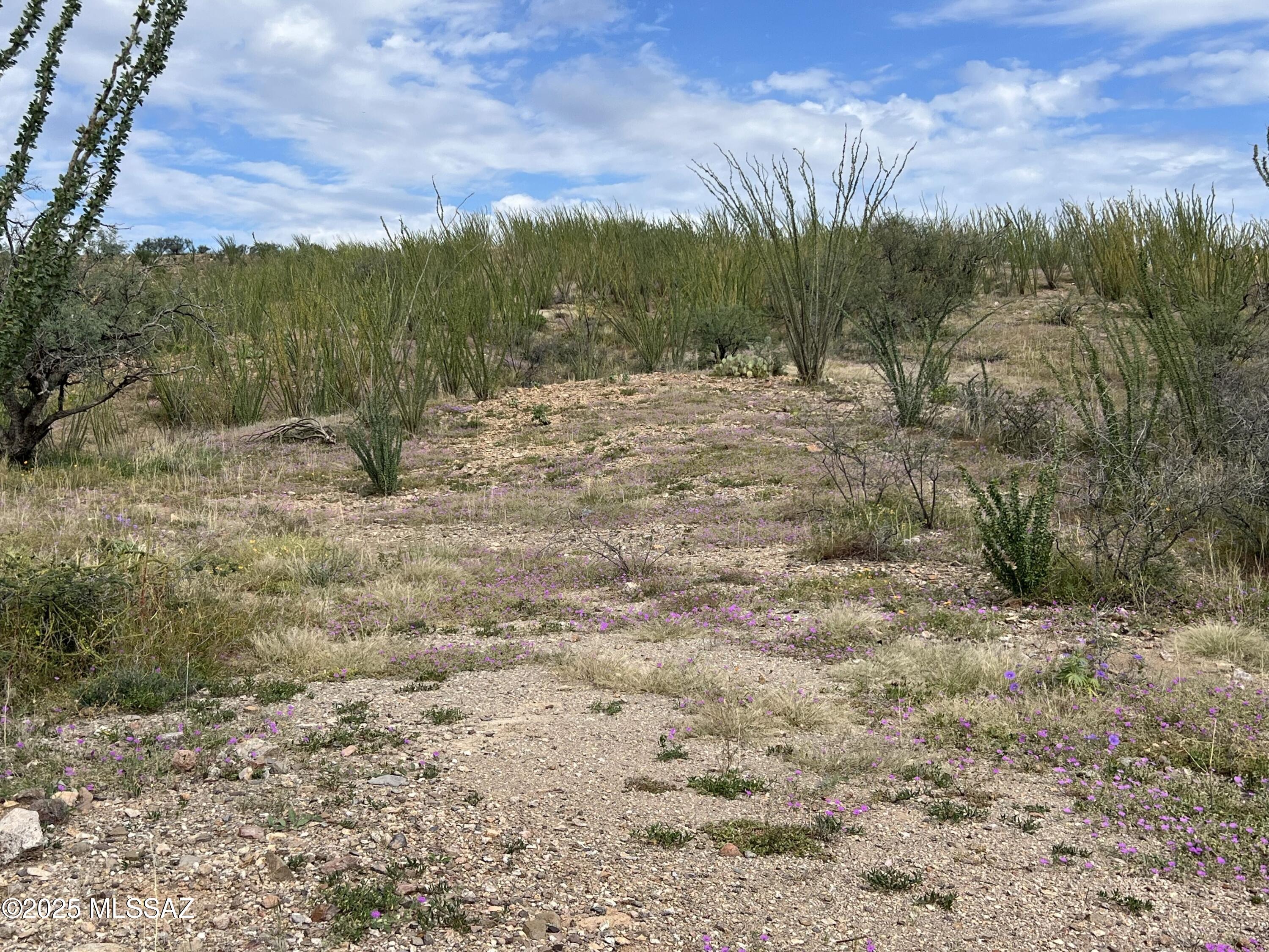 Lake Patagonia Ranch - Land