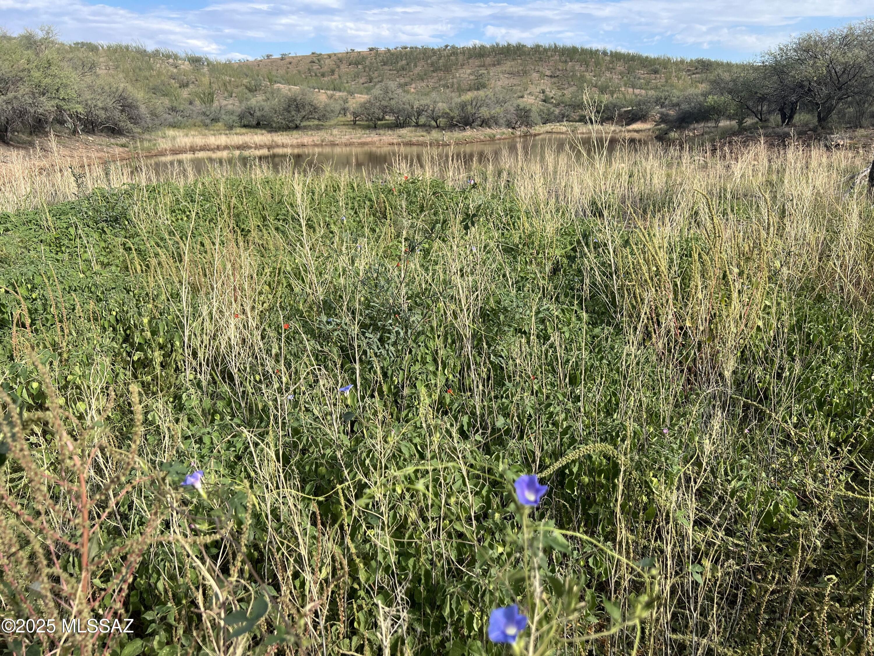 Lake Patagonia Ranch - Land