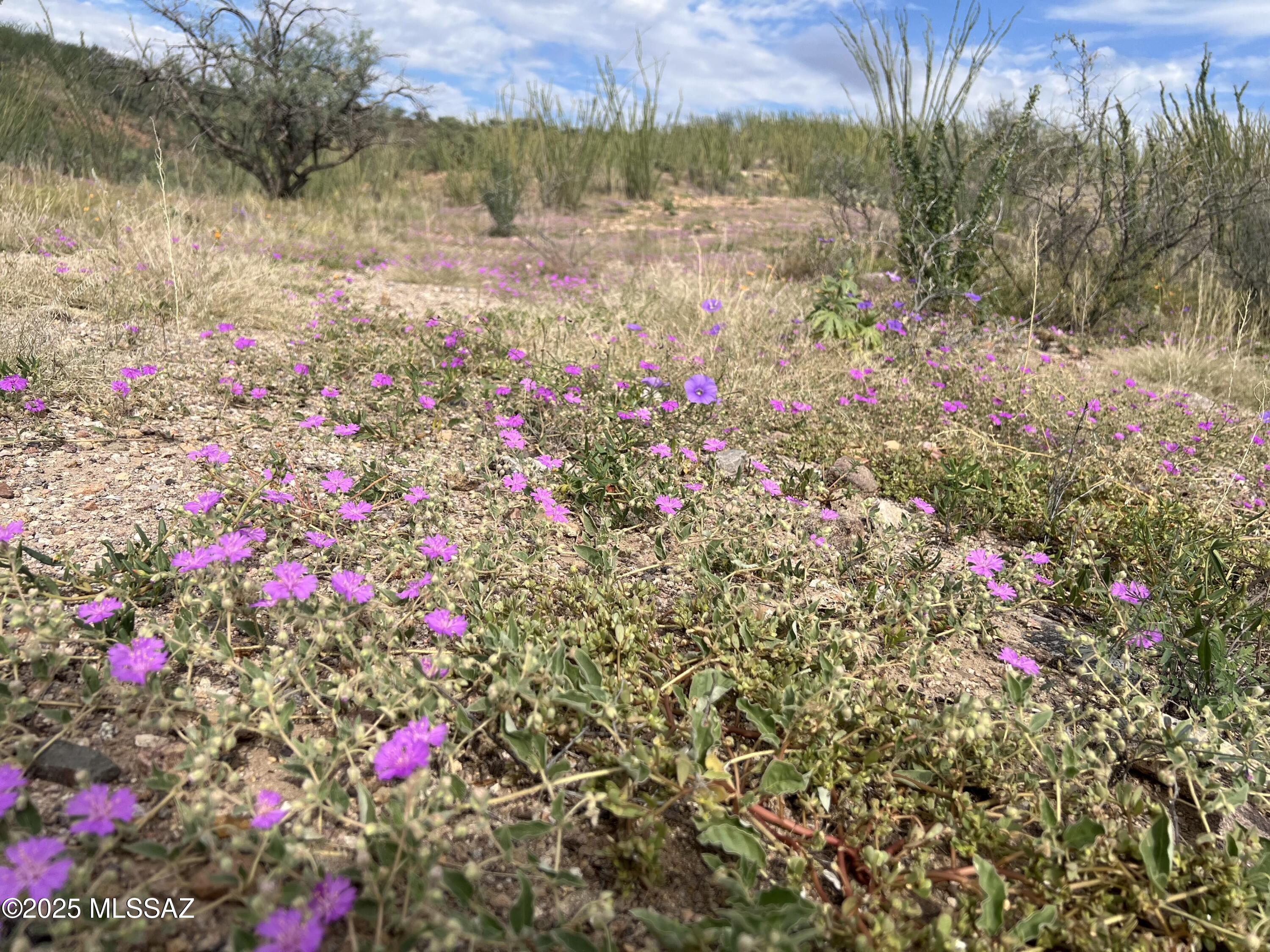 Lake Patagonia Ranch - Land