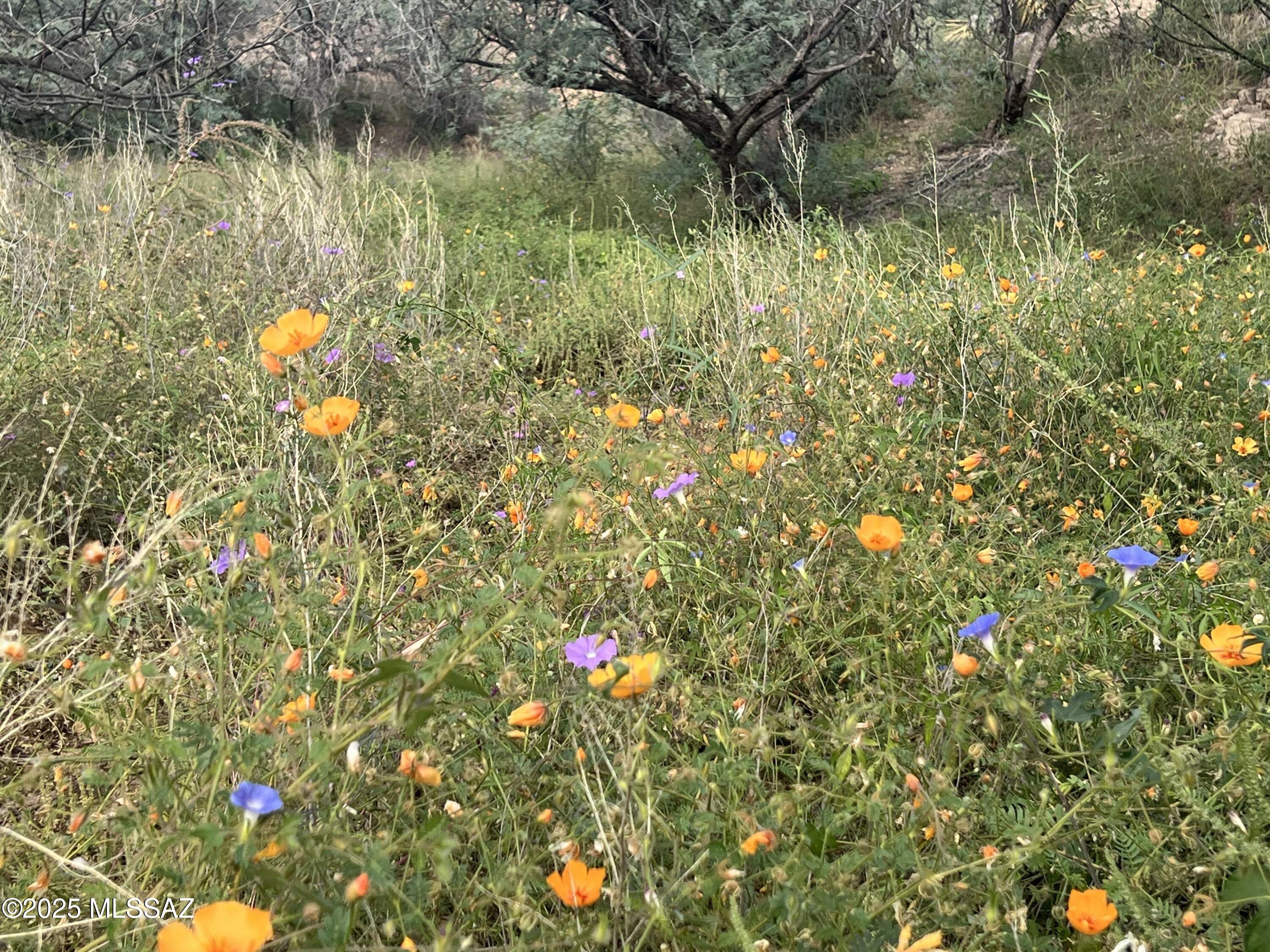 Lake Patagonia Ranch - Land