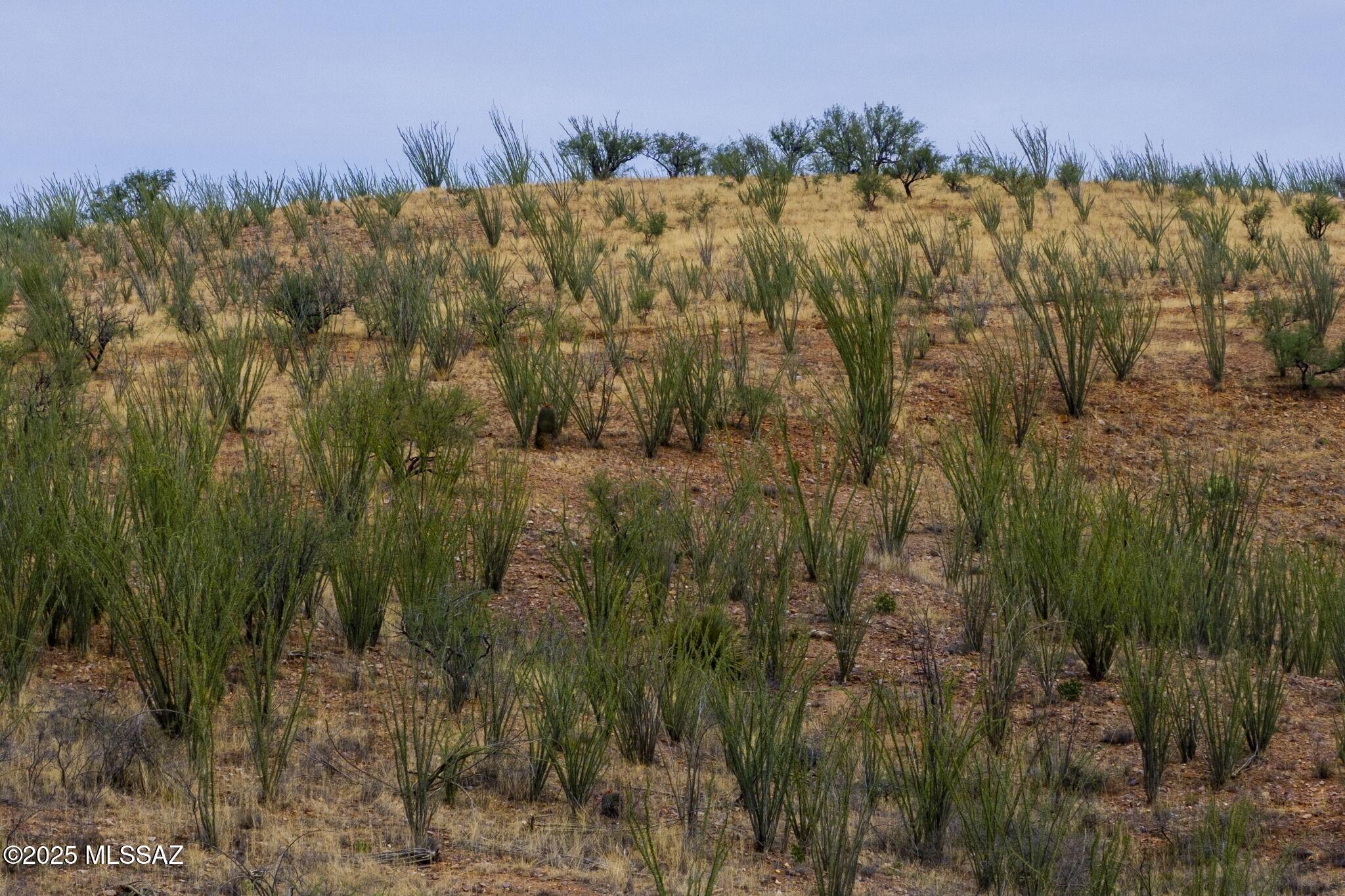 Lake Patagonia Ranch - Land