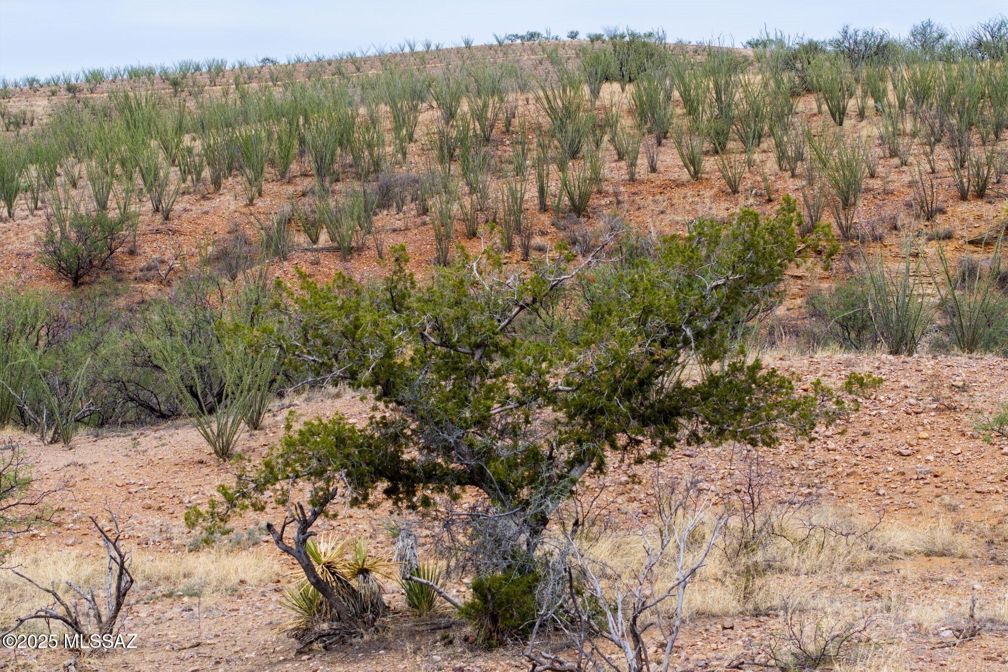 Lake Patagonia Ranch - Land