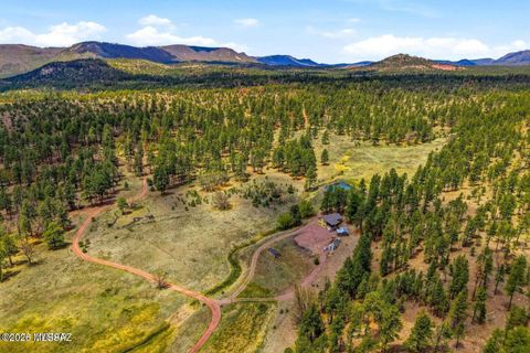 28 County Road 2310 Alpine AZ 85920