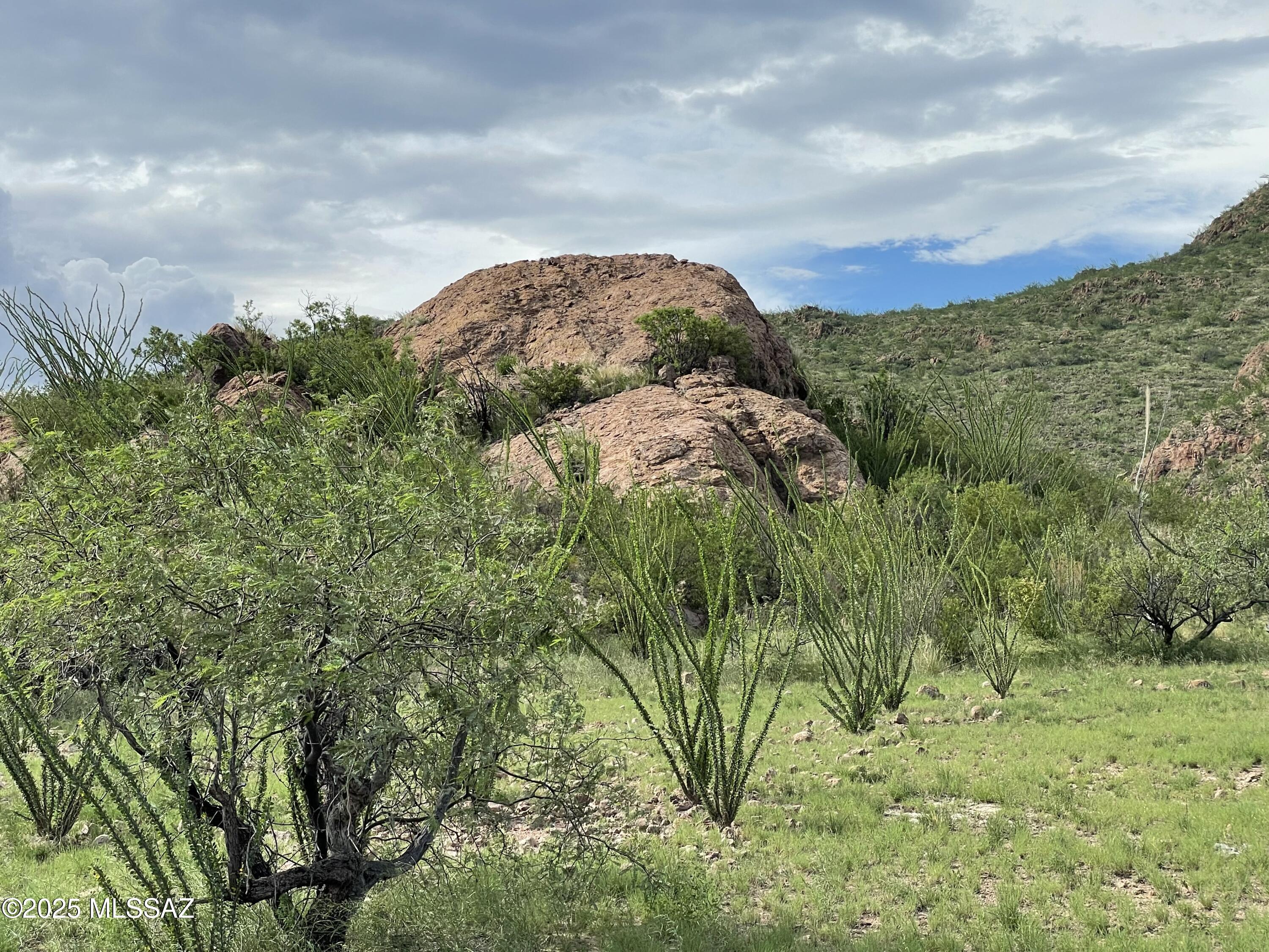 Salero Ranch - Land