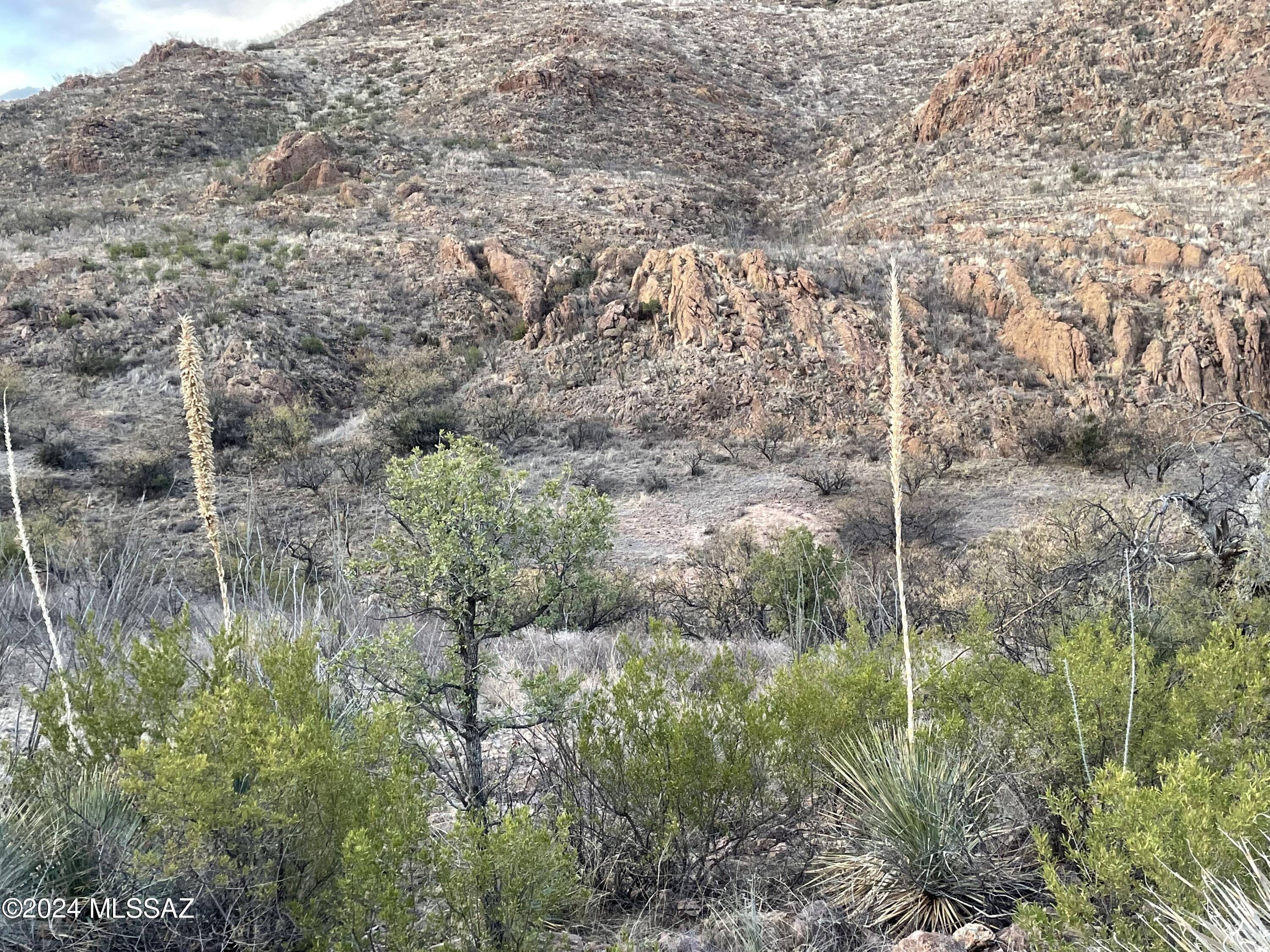 Salero Ranch - Land