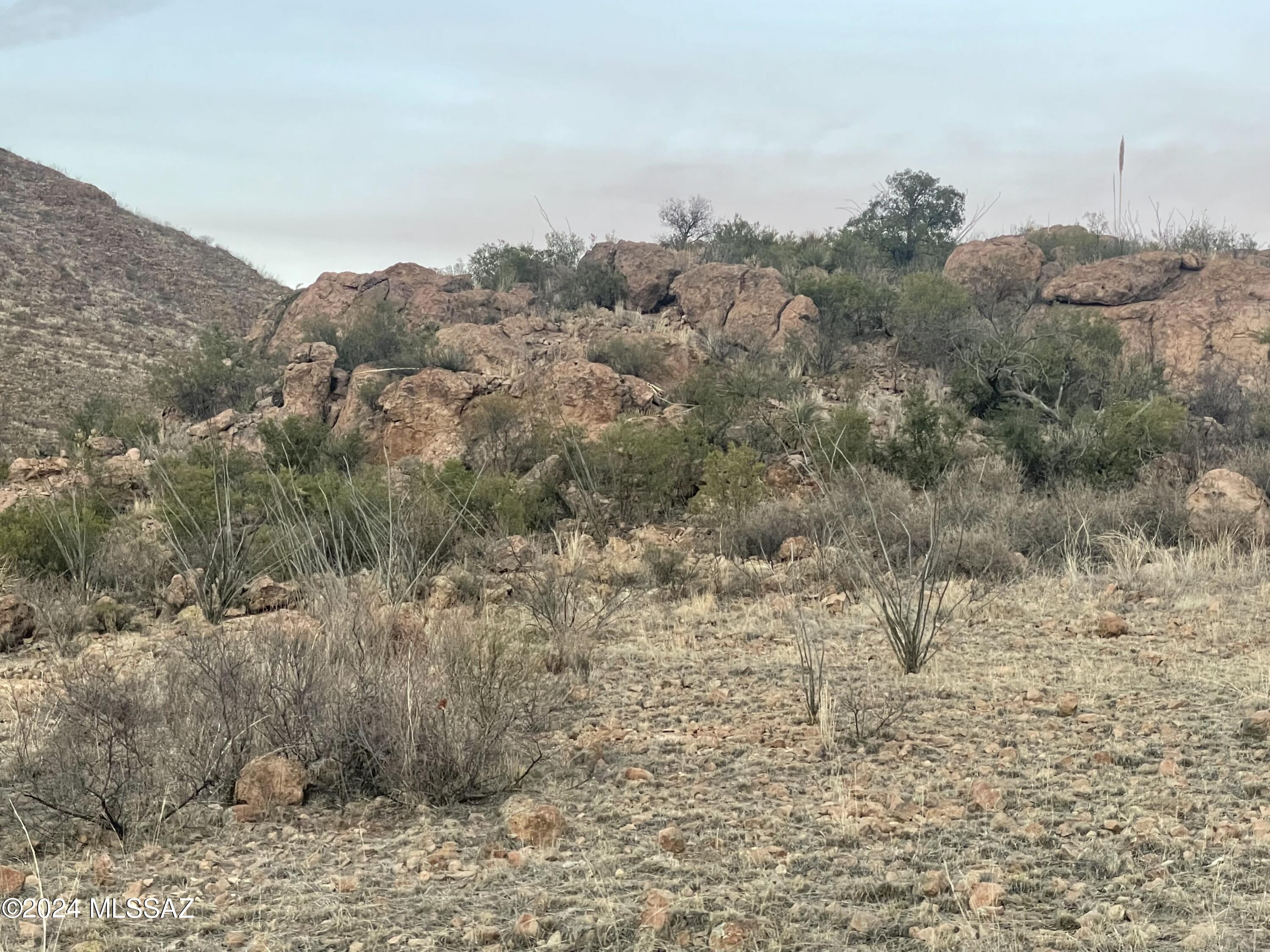 Salero Ranch - Land