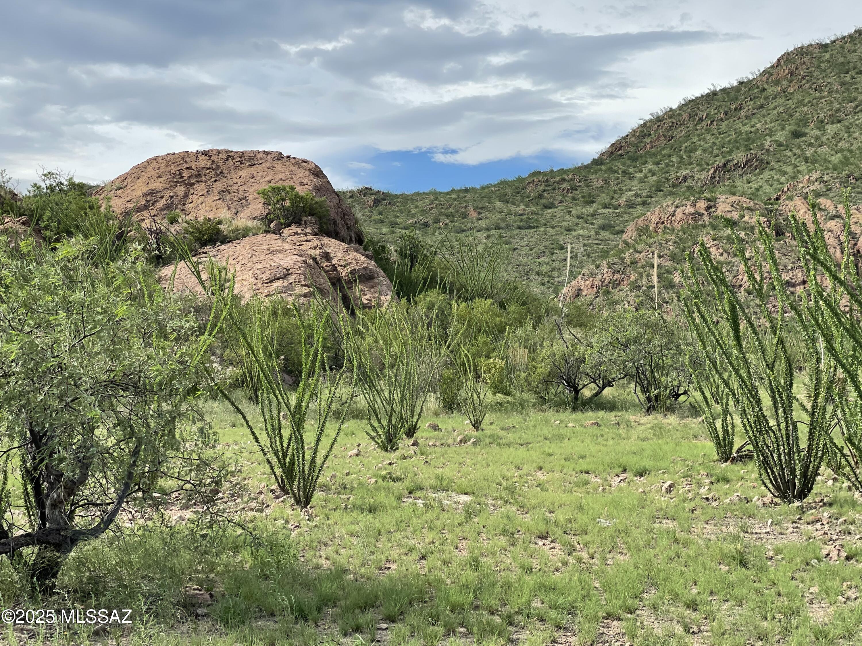 Salero Ranch - Land