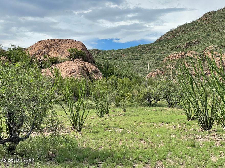 Come visit this peaceful, private, quiet, end of cul-de-sac, spectacular 45.76 acre parcel. It has a very large, level, useable building site with fantastic long views in all directions of the beautiful boulders and mountains. There is even a rare a cave on this property! Abundant wildlife, excellent annual climate, underground power, gated community, and this parcel is close to the main gate on very good roads. Seller has also obtained a very good well water Hydrology report to guide and assist with your well drilling! 
SELLER FINANCING with 30% down, 7% interest, 10 years with a 2 year balloon payment. Call for more details.