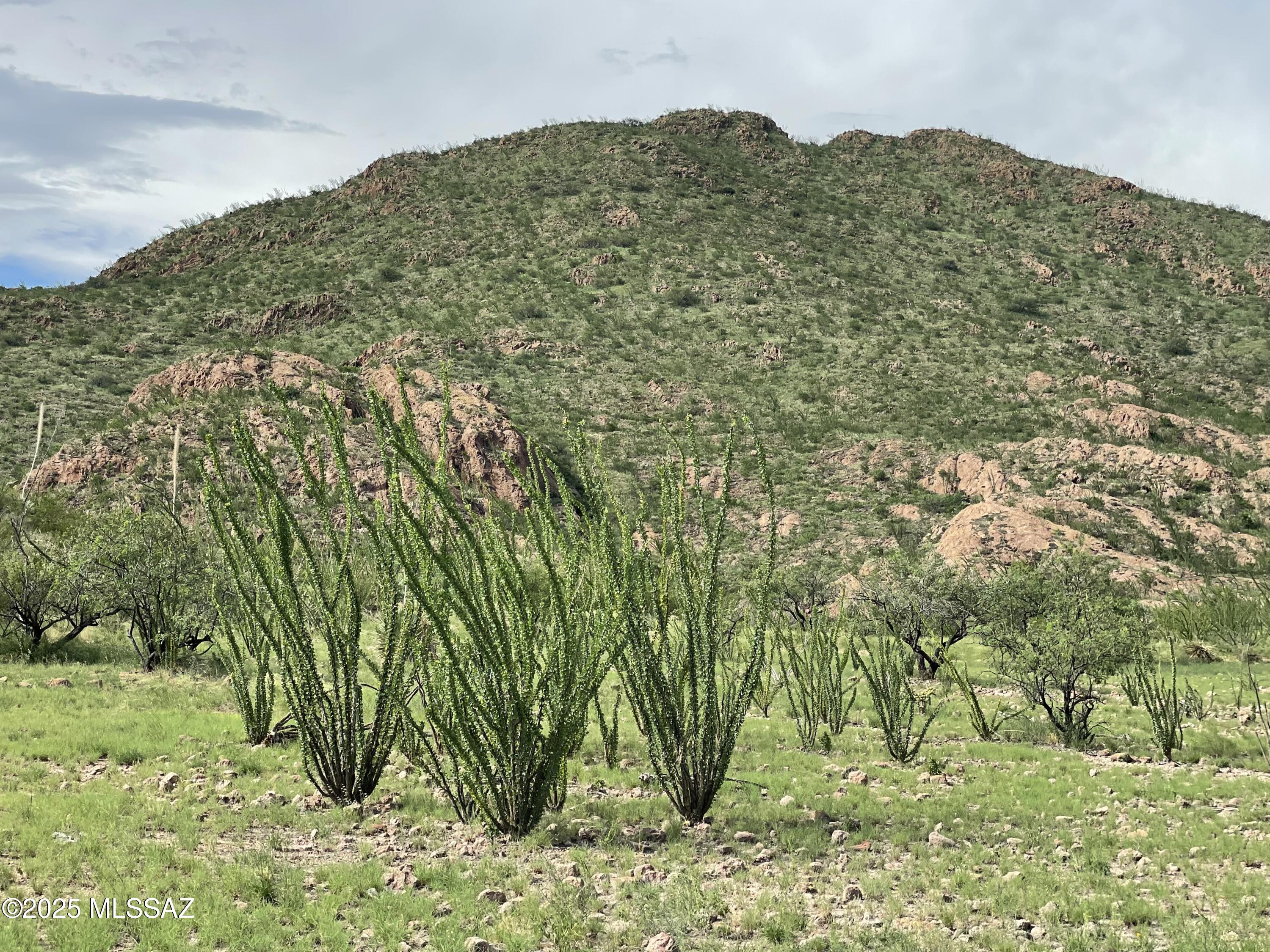 Salero Ranch - Land