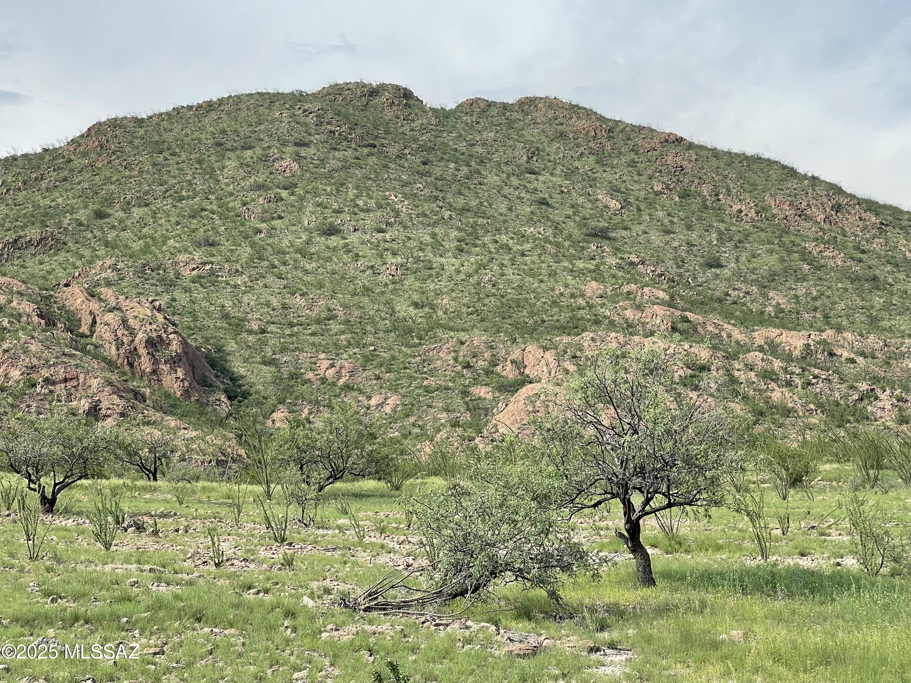 Salero Ranch - Land