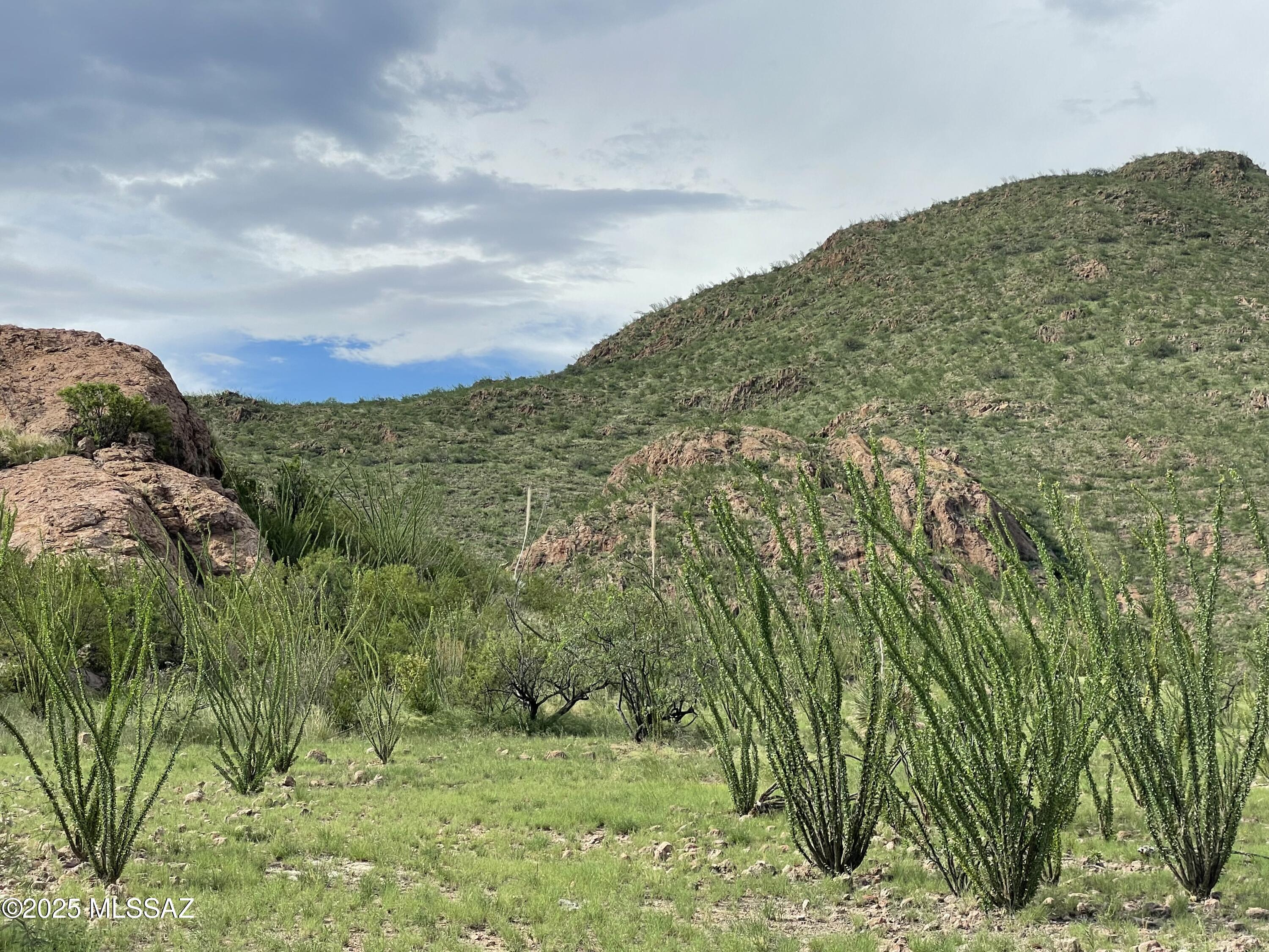 Salero Ranch - Land