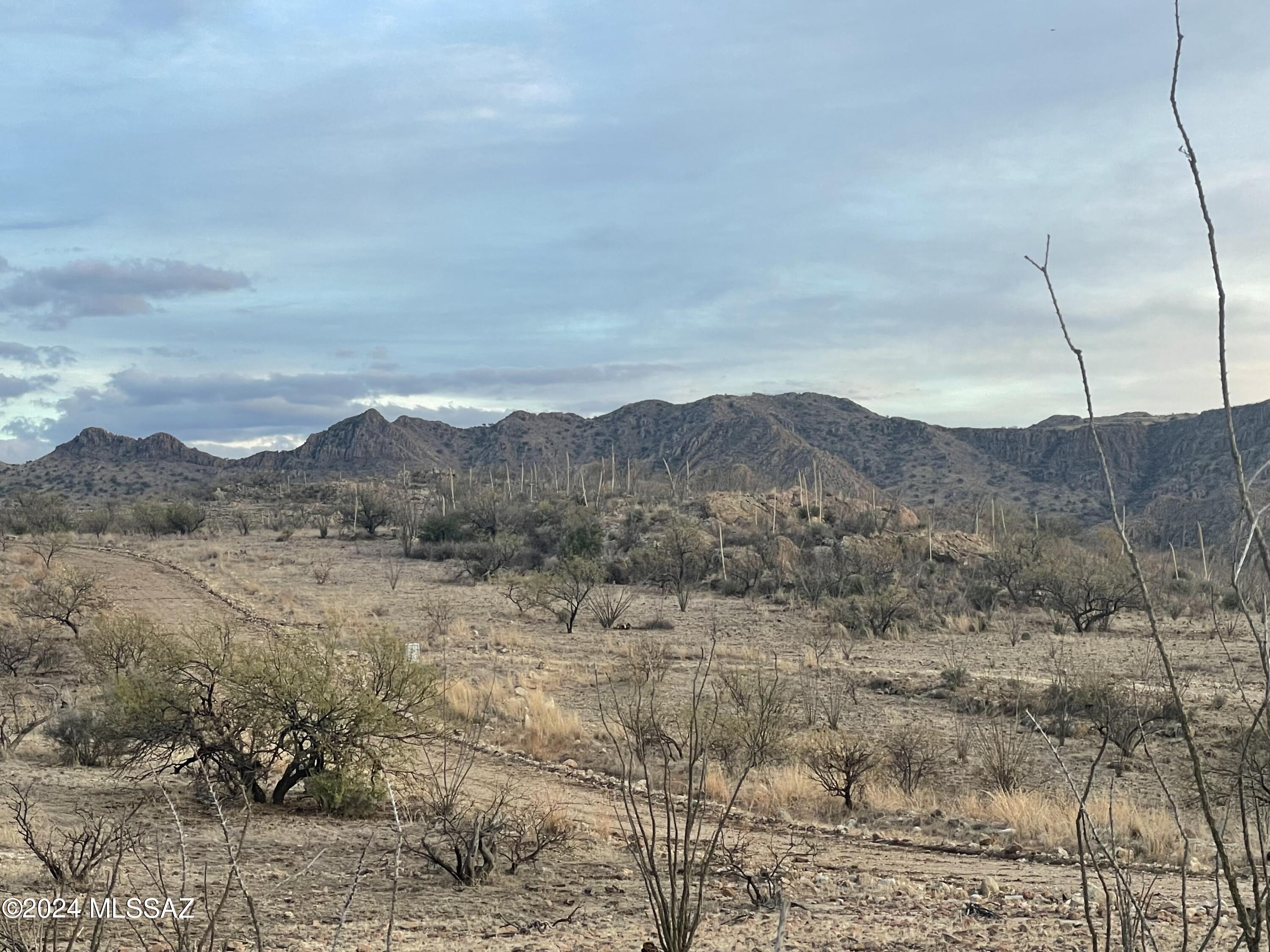 Salero Ranch - Land