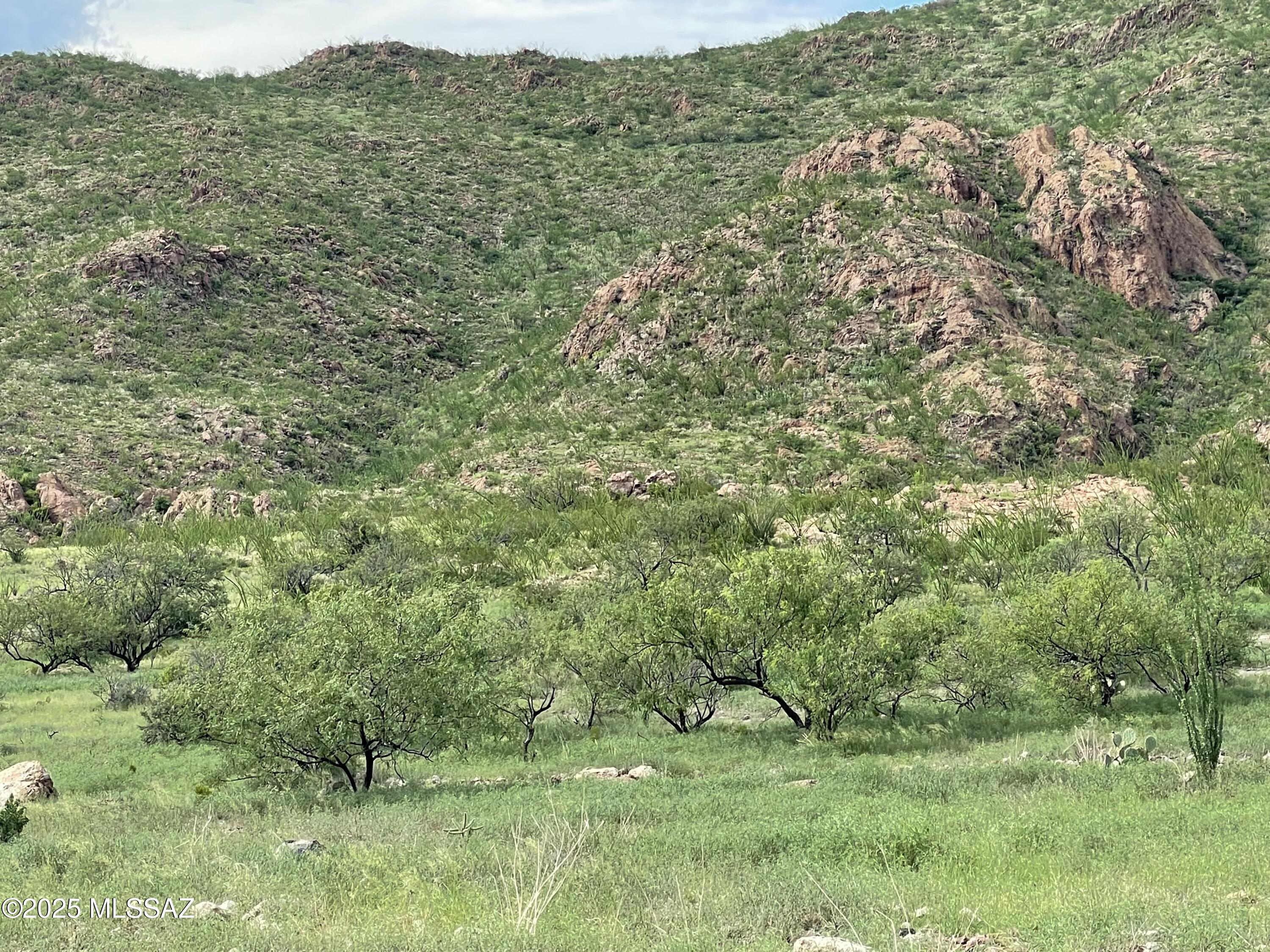 Salero Ranch - Land