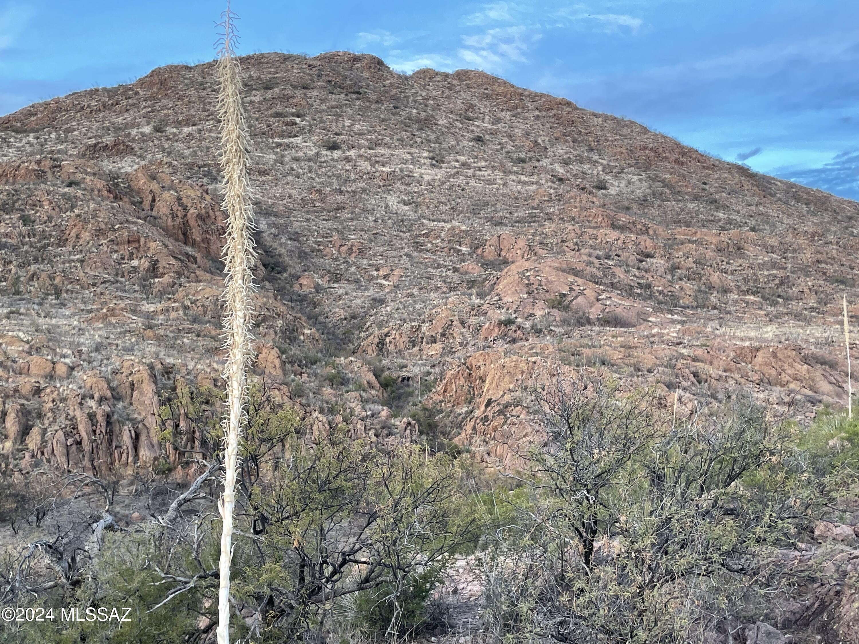 Salero Ranch - Land