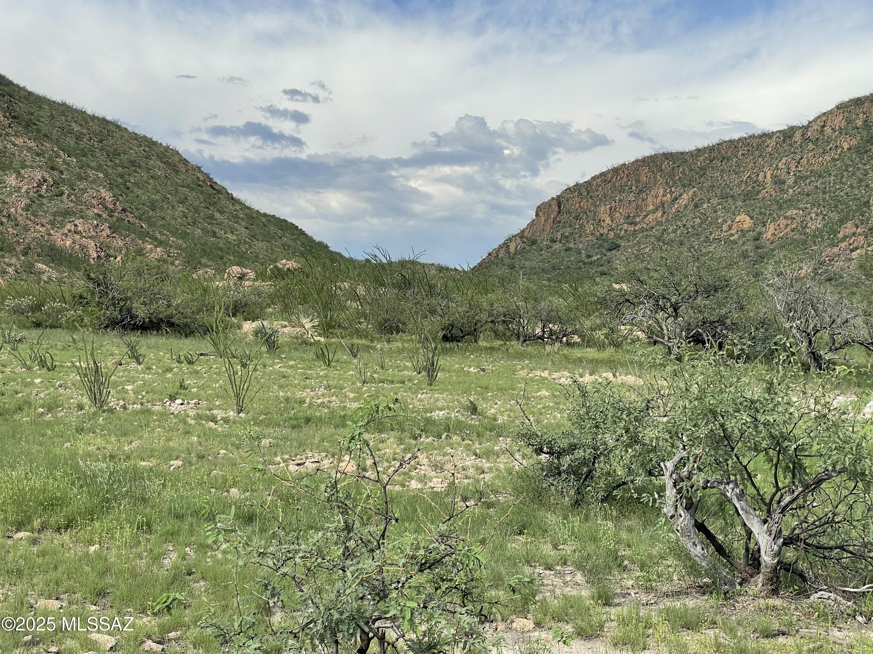 Salero Ranch - Land