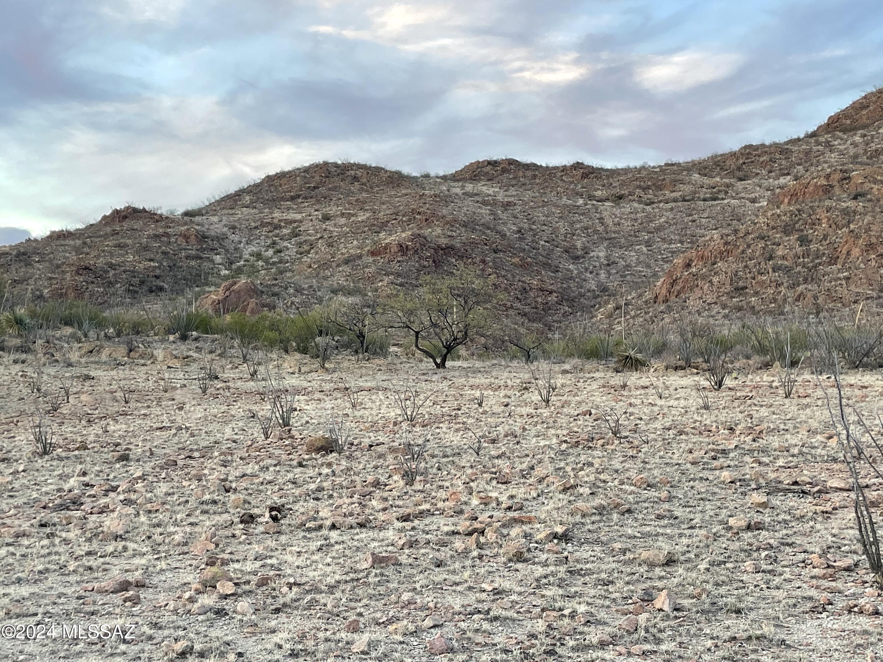 Salero Ranch - Land