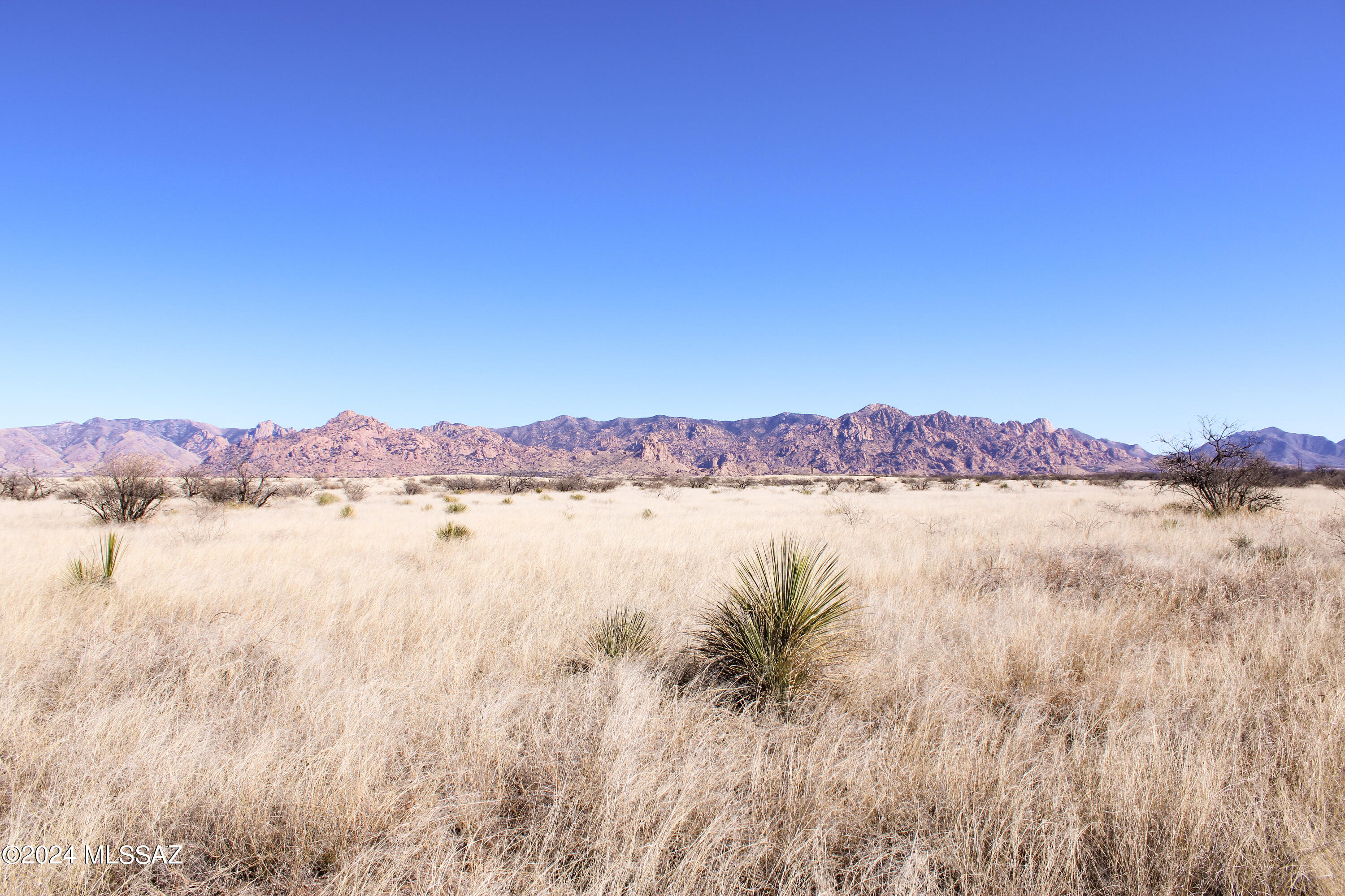 Dragoon Mountain Ranch - Land