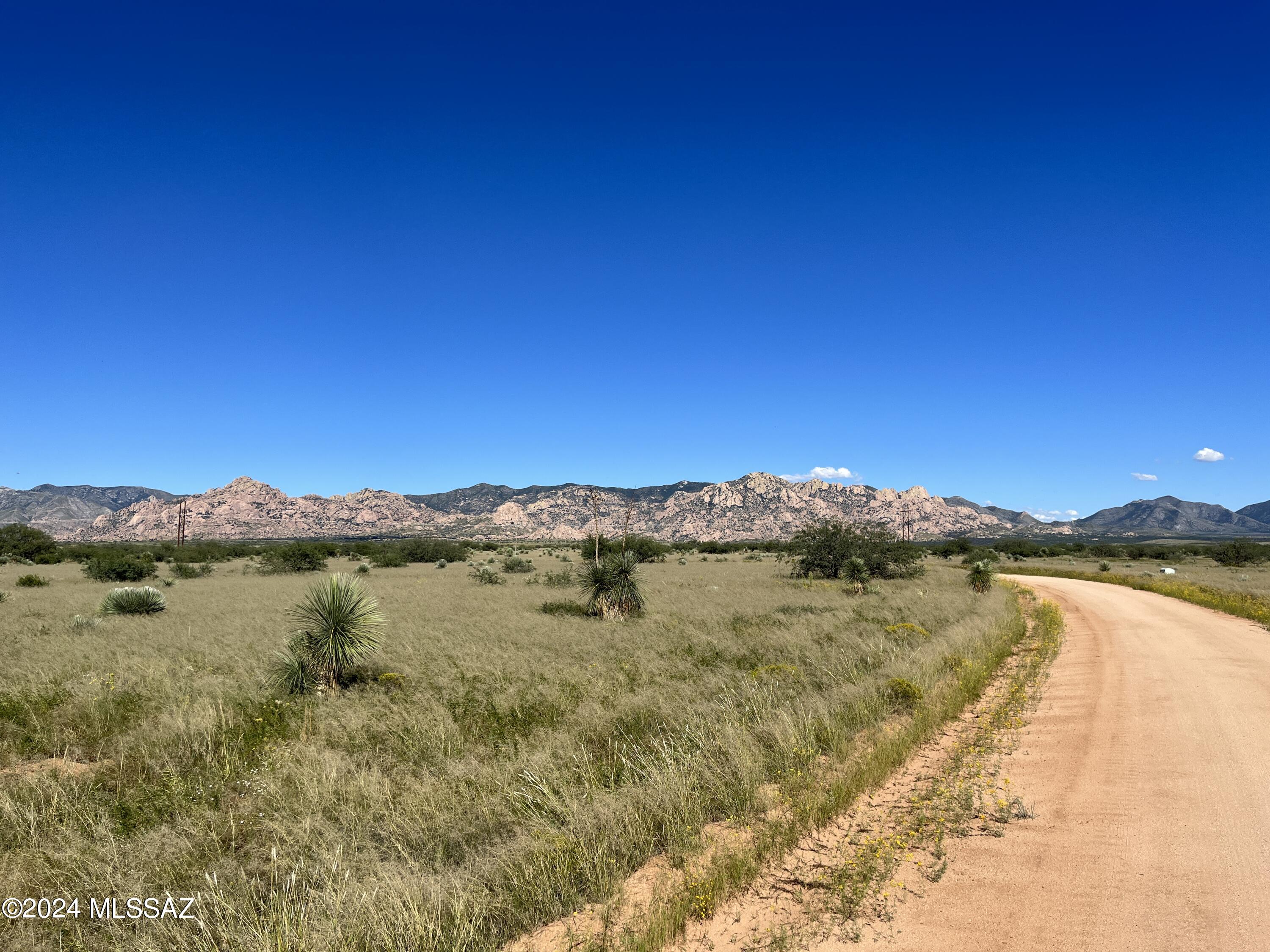 Dragoon Mountain Ranch - Land