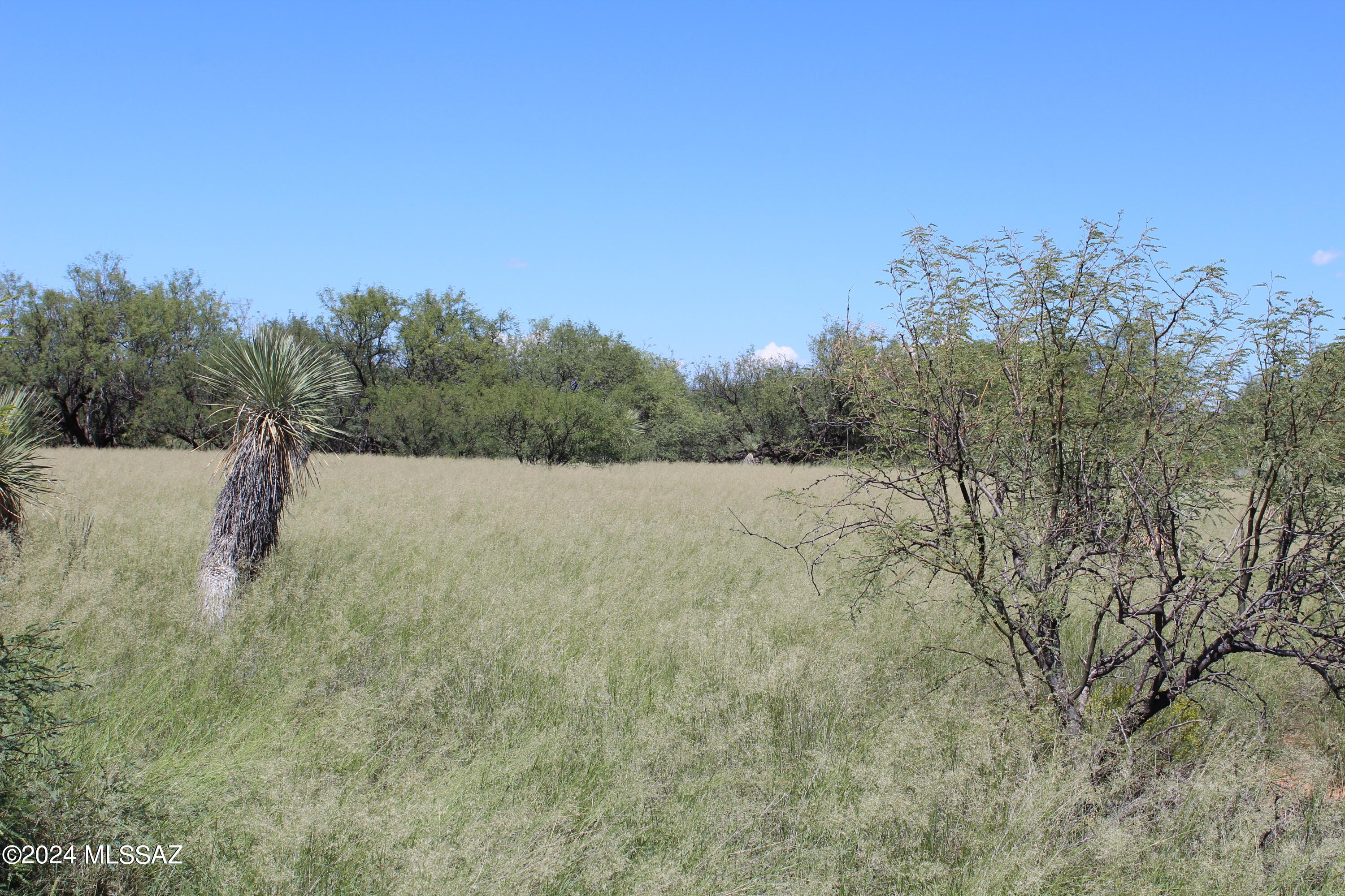 Dragoon Mountain Ranch - Land