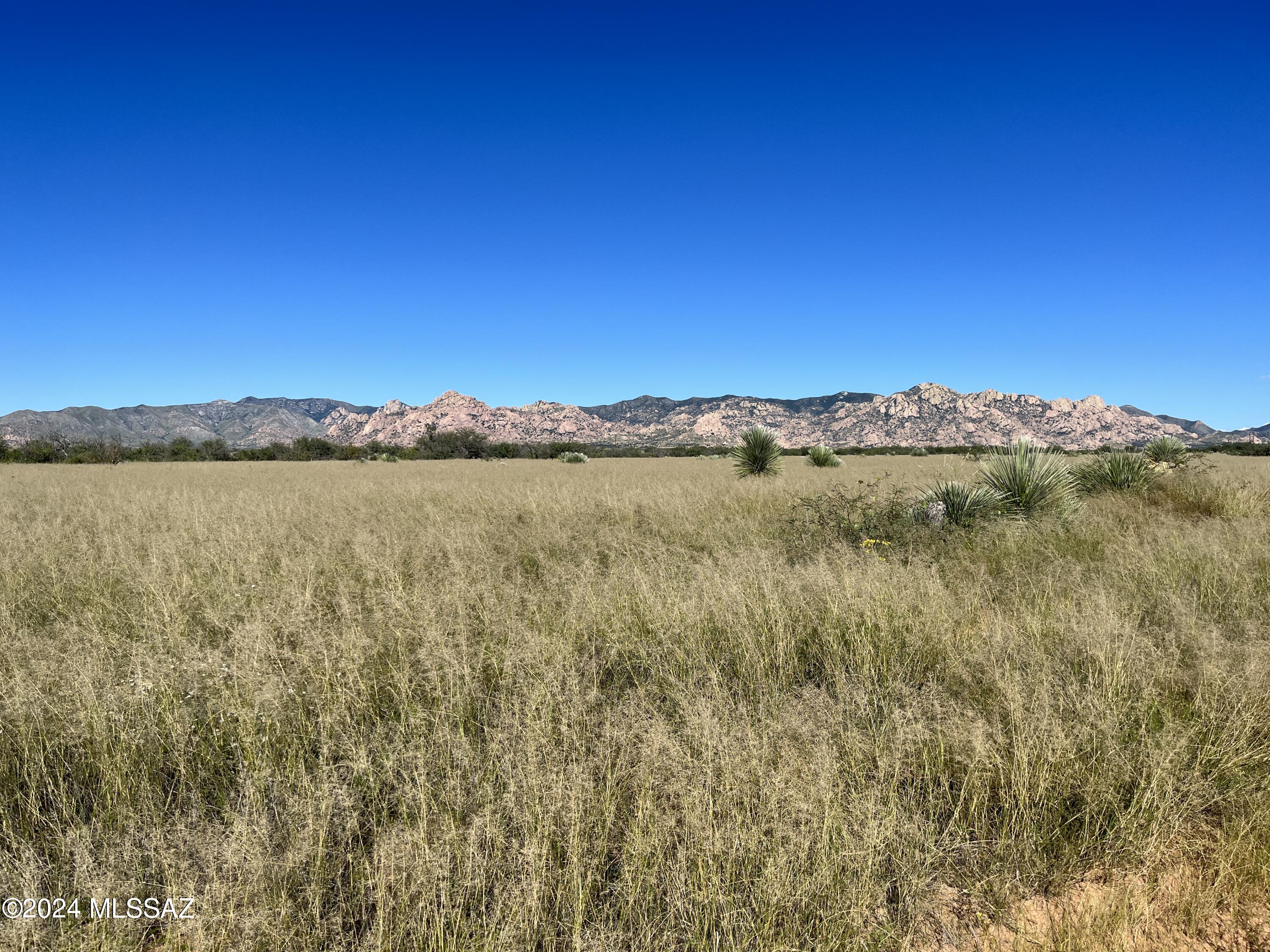 Dragoon Mountain Ranch - Land
