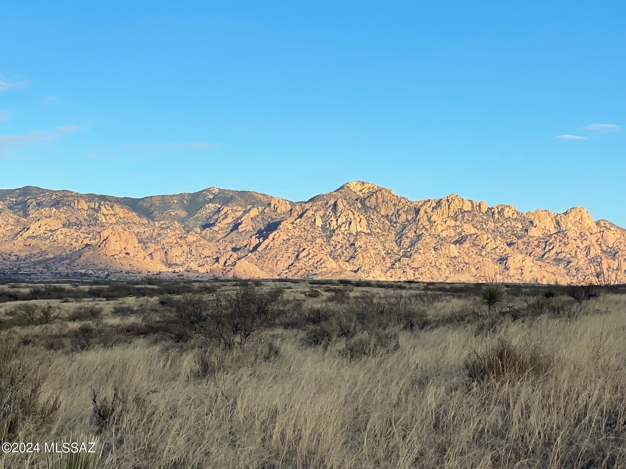 Dragoon Mountain Ranch - Land