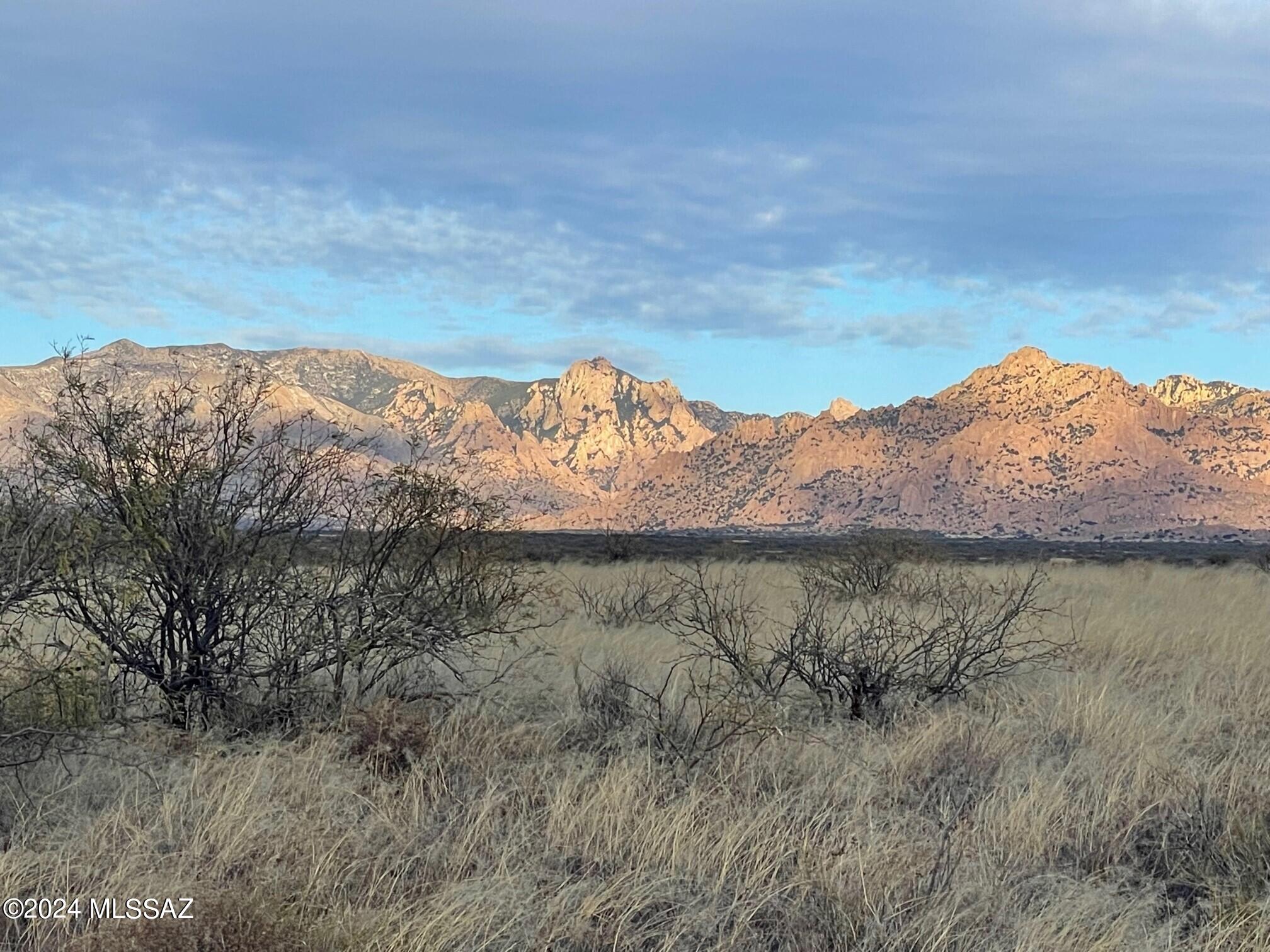 Dragoon Mountain Ranch - Land