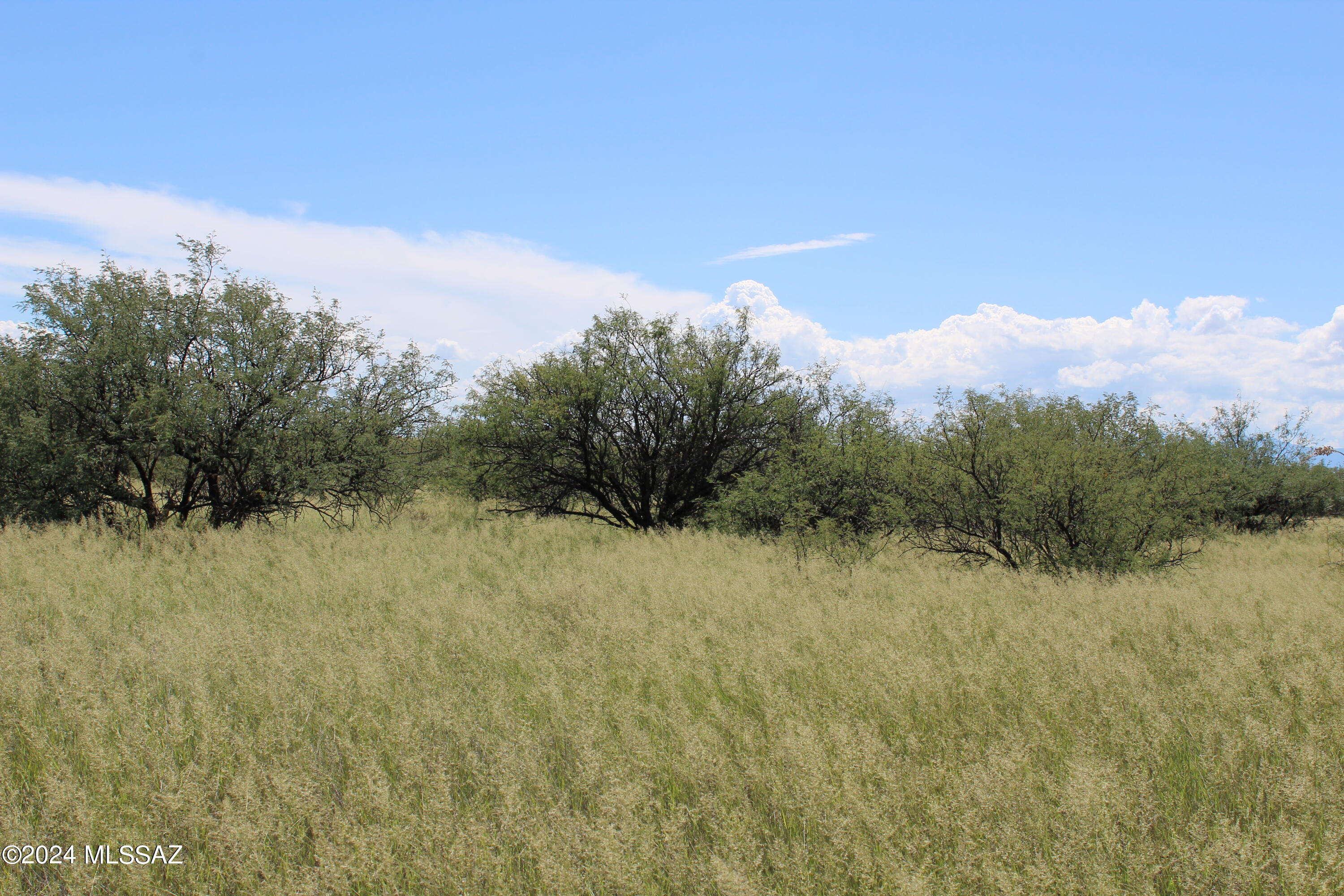 Dragoon Mountain Ranch - Land