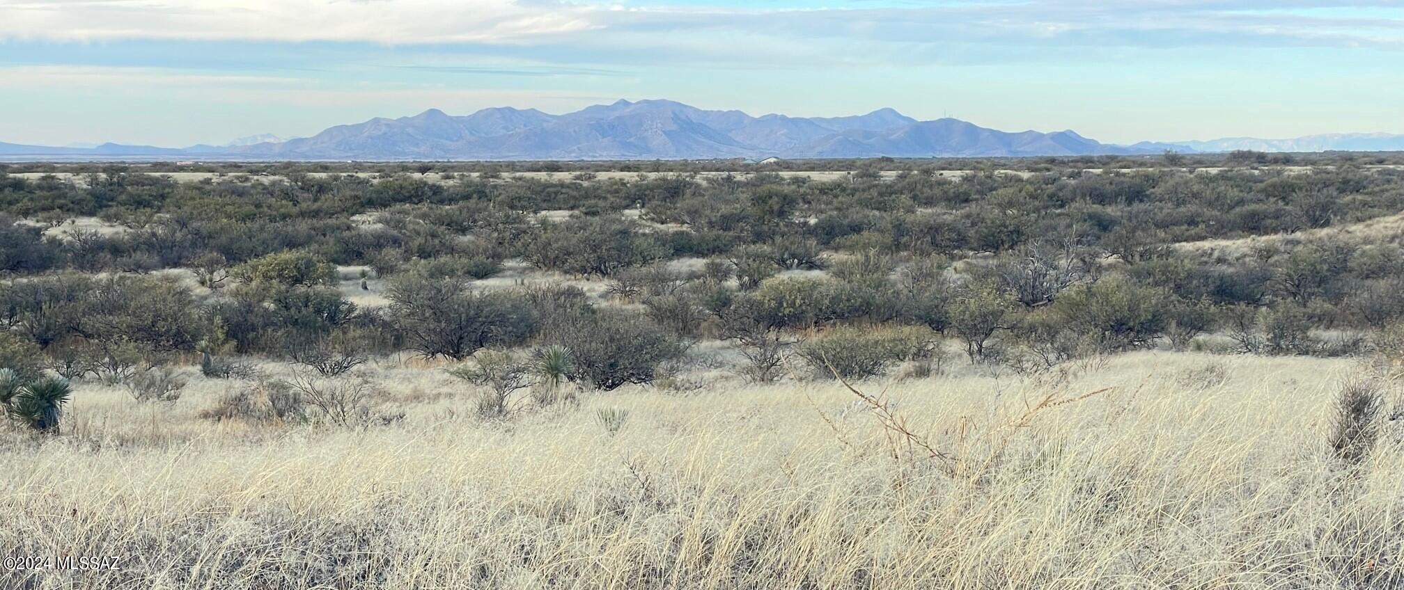 Dragoon Mountain Ranch - Land