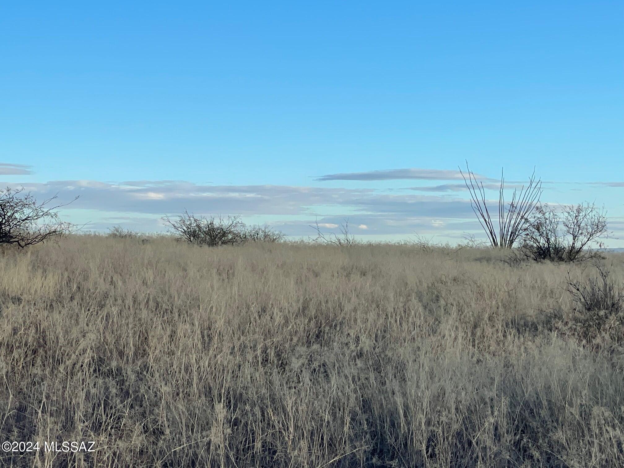 Dragoon Mountain Ranch - Land