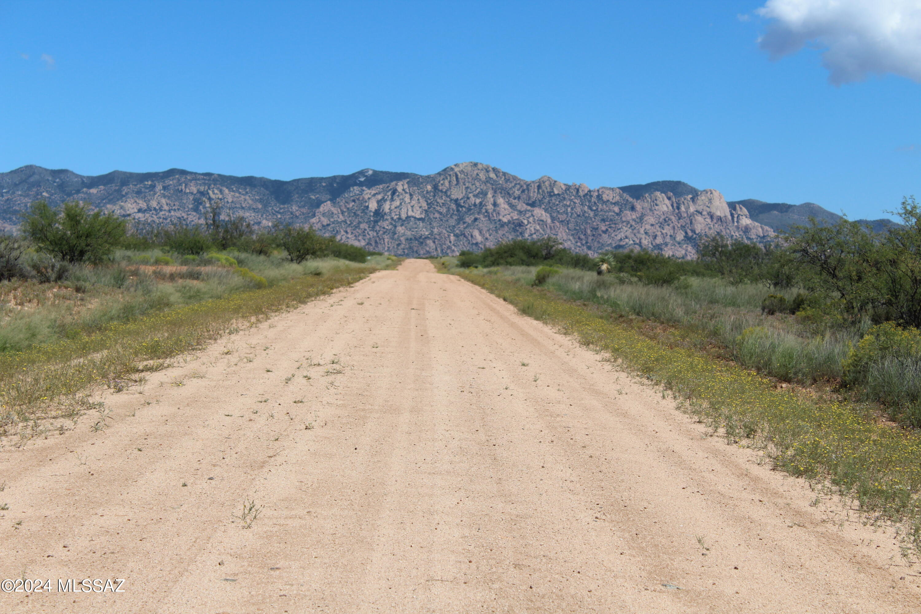 Dragoon Mountain Ranch - Land