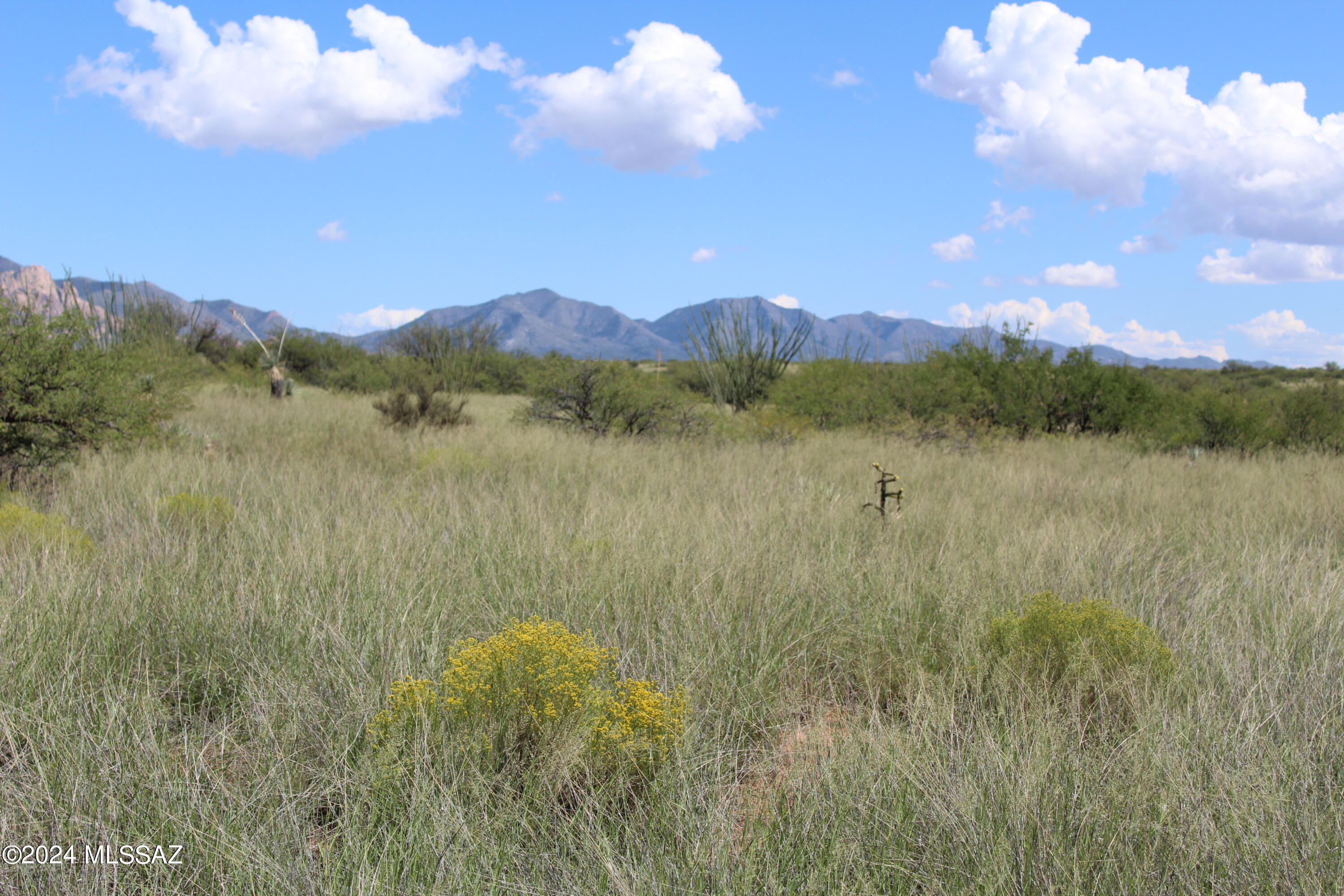 Dragoon Mountain Ranch - Land
