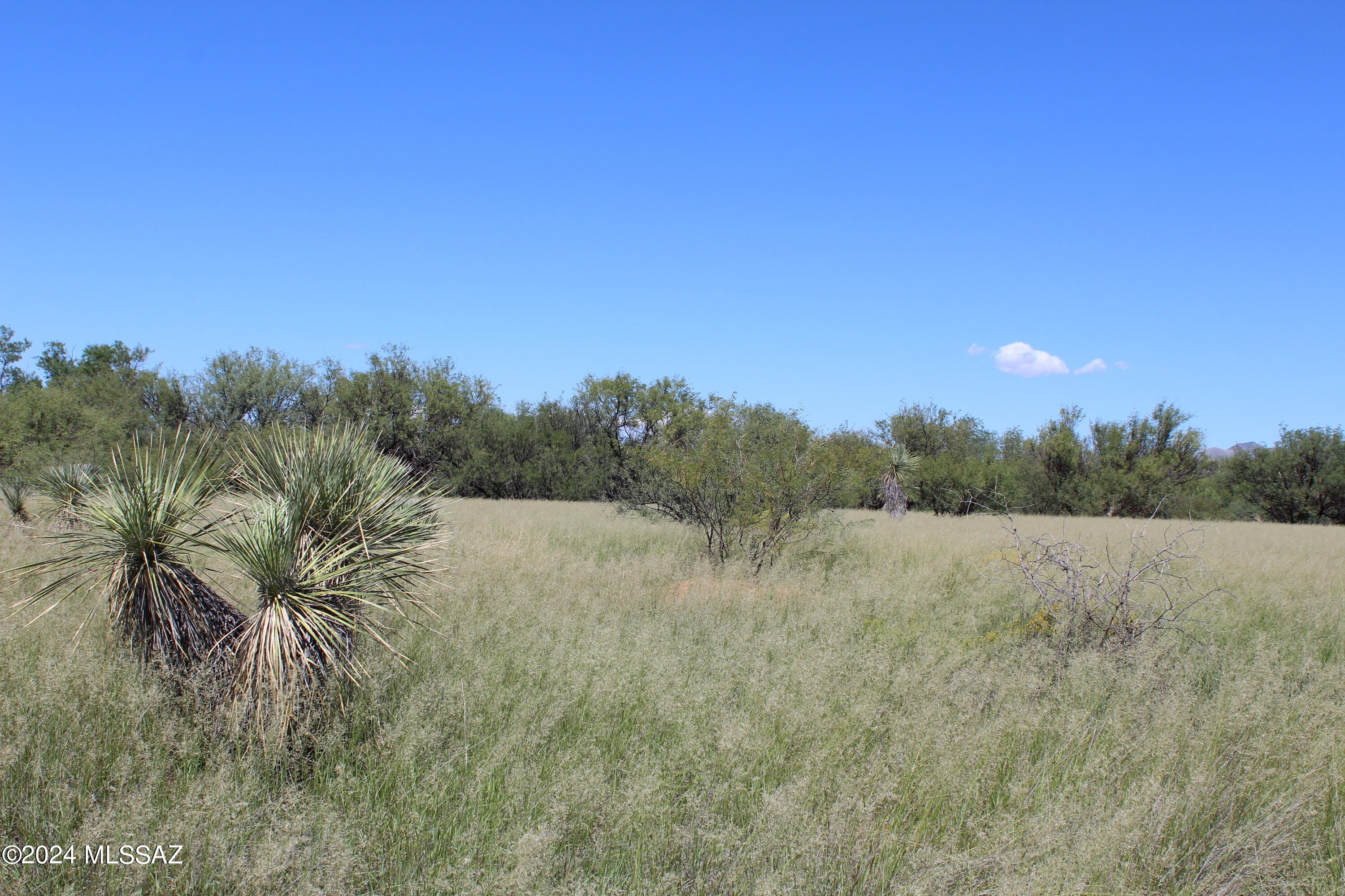 Dragoon Mountain Ranch - Land